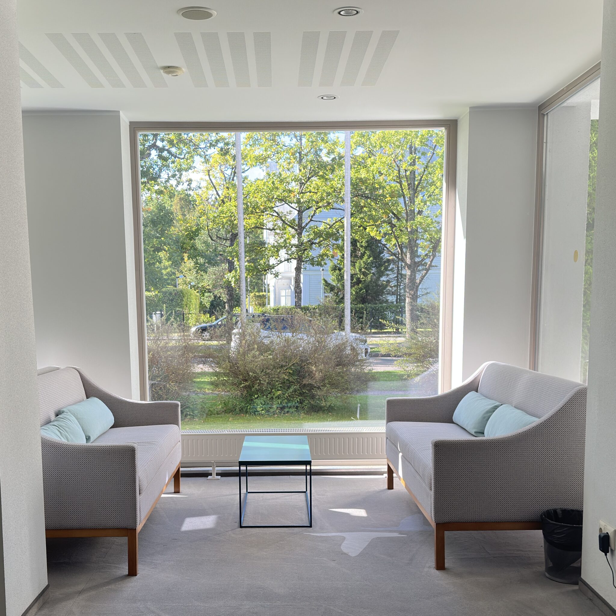 Kaasaegne valgusküllane tuba kahe diivani ja suure aknaga, vaade rohelusele.