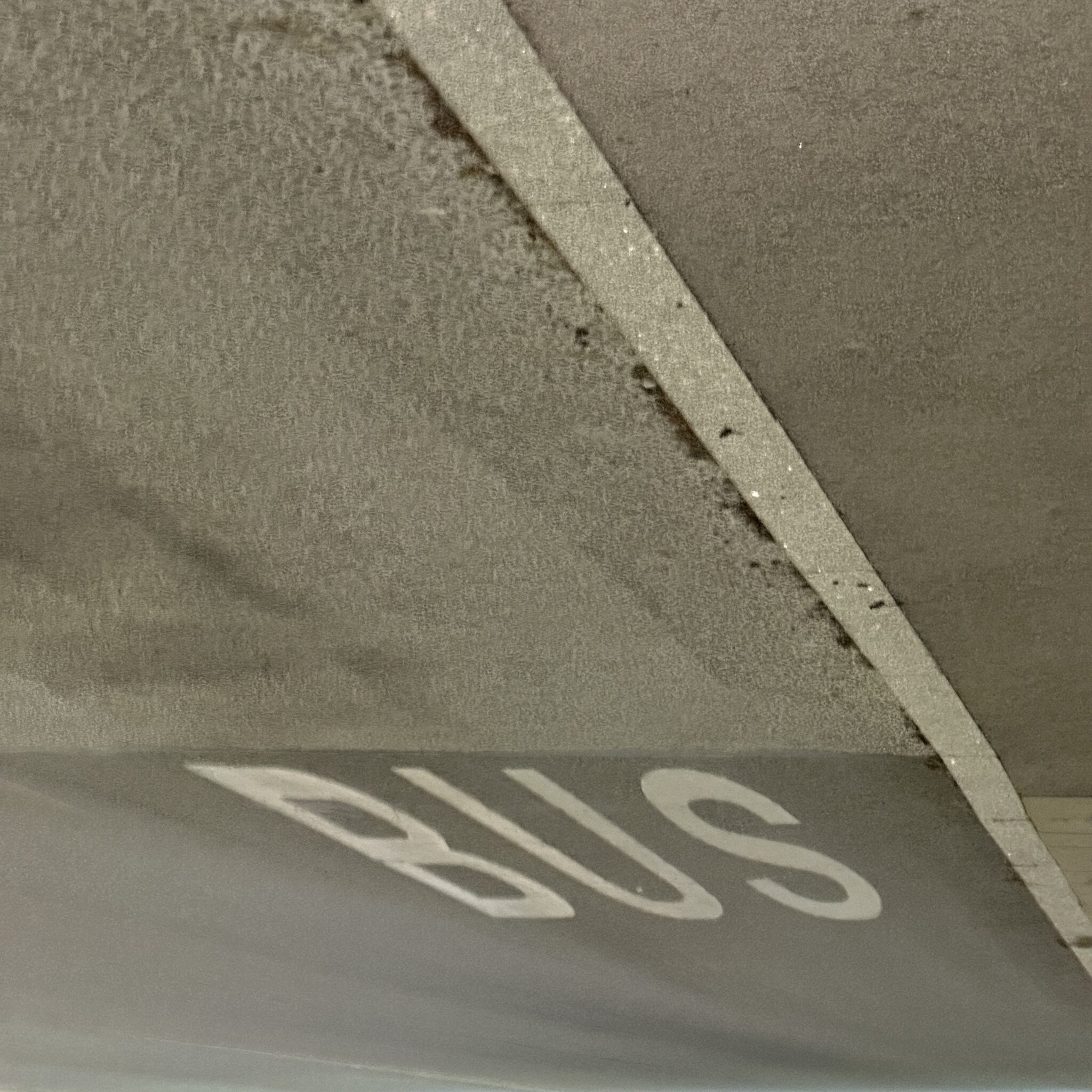 Bussipeatuse silt hallil pinnal.