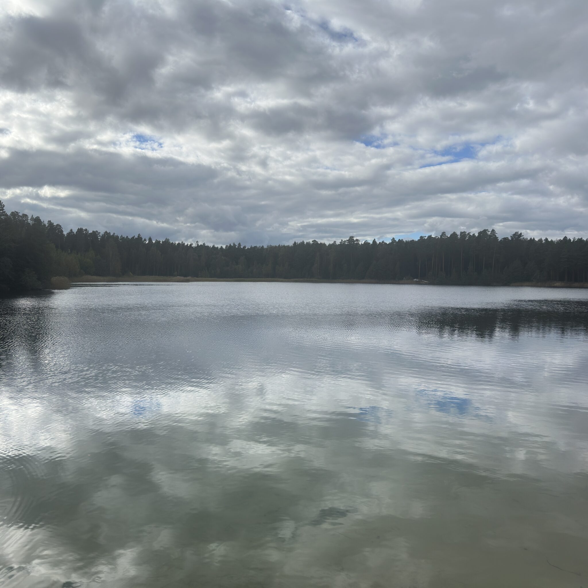 Rahulik järv metsaäärse kaldaga ja pilvine taevas.