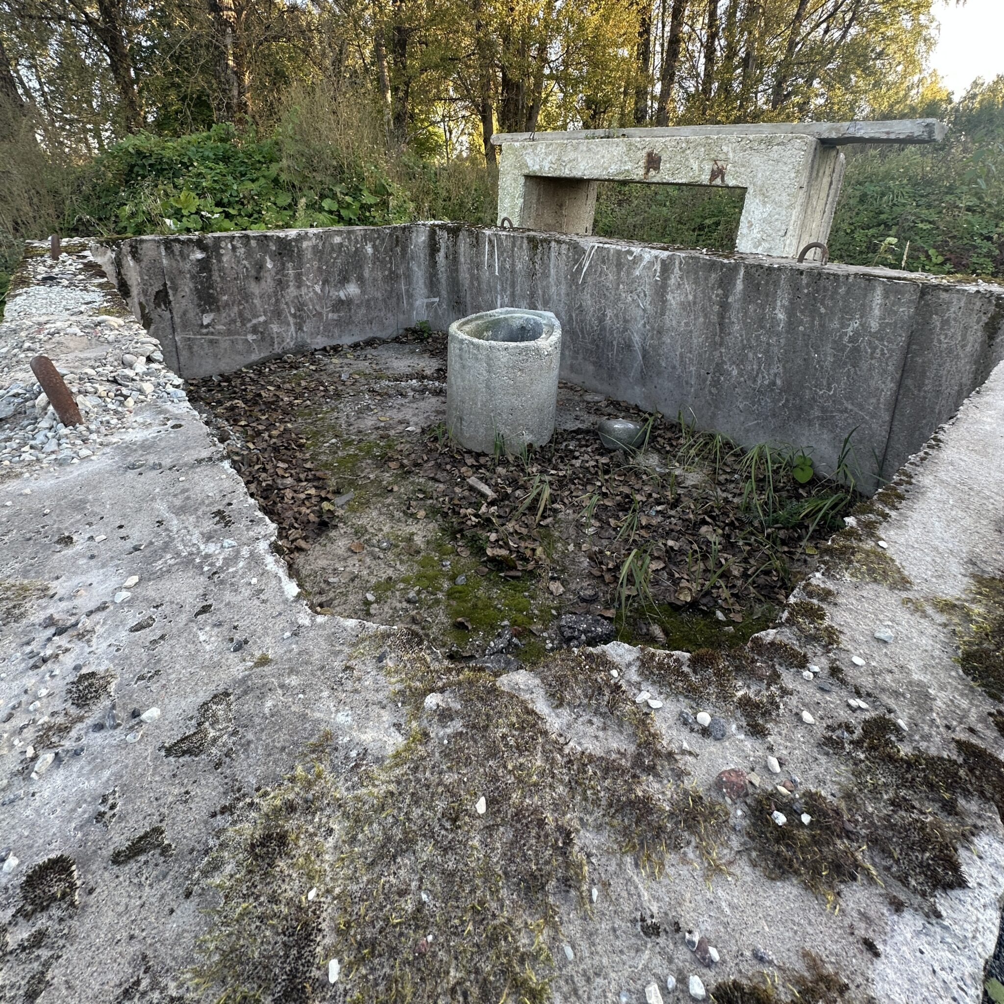 Sammaldunud betoonstruktuur lehtede ja puude vahel.