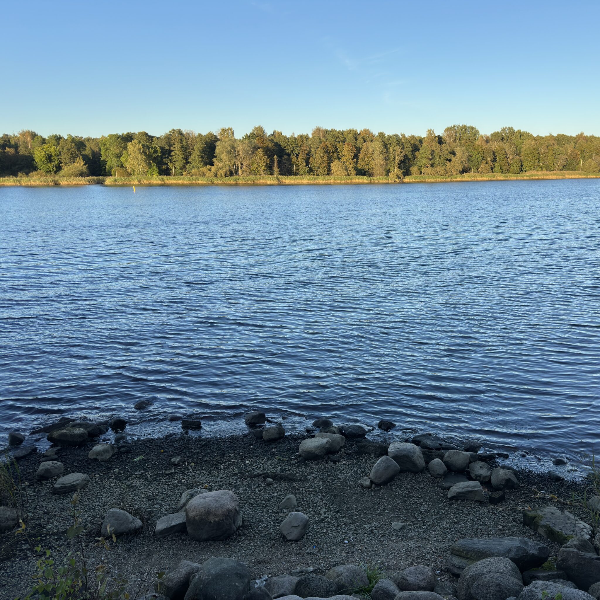 Rahulik järv kivise kaldaga ja kauged puud taustal.