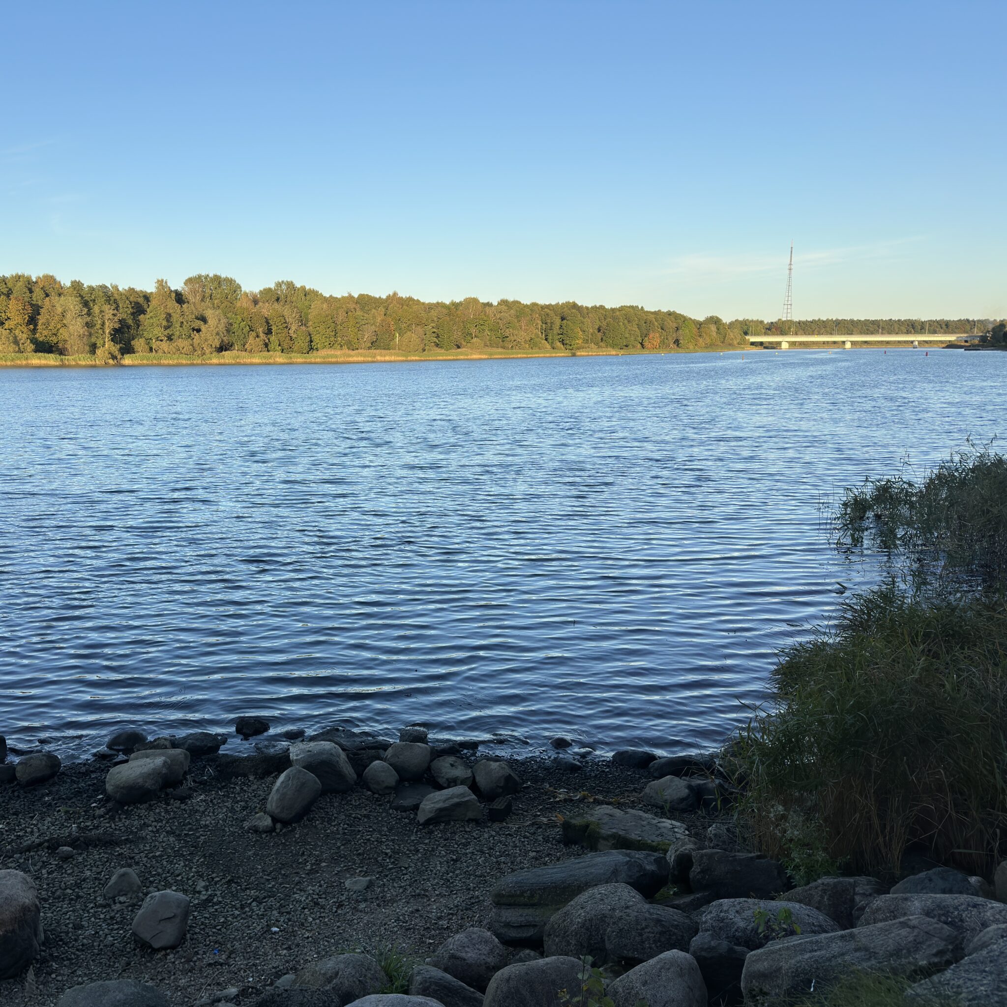 Vaikne järv sillaga, mida ümbritsevad puud.