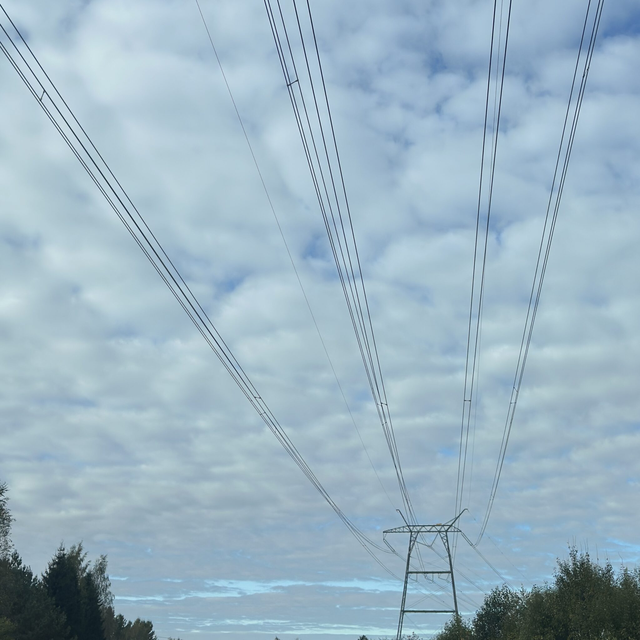 Elektriliinid pilvise taeva taustal.