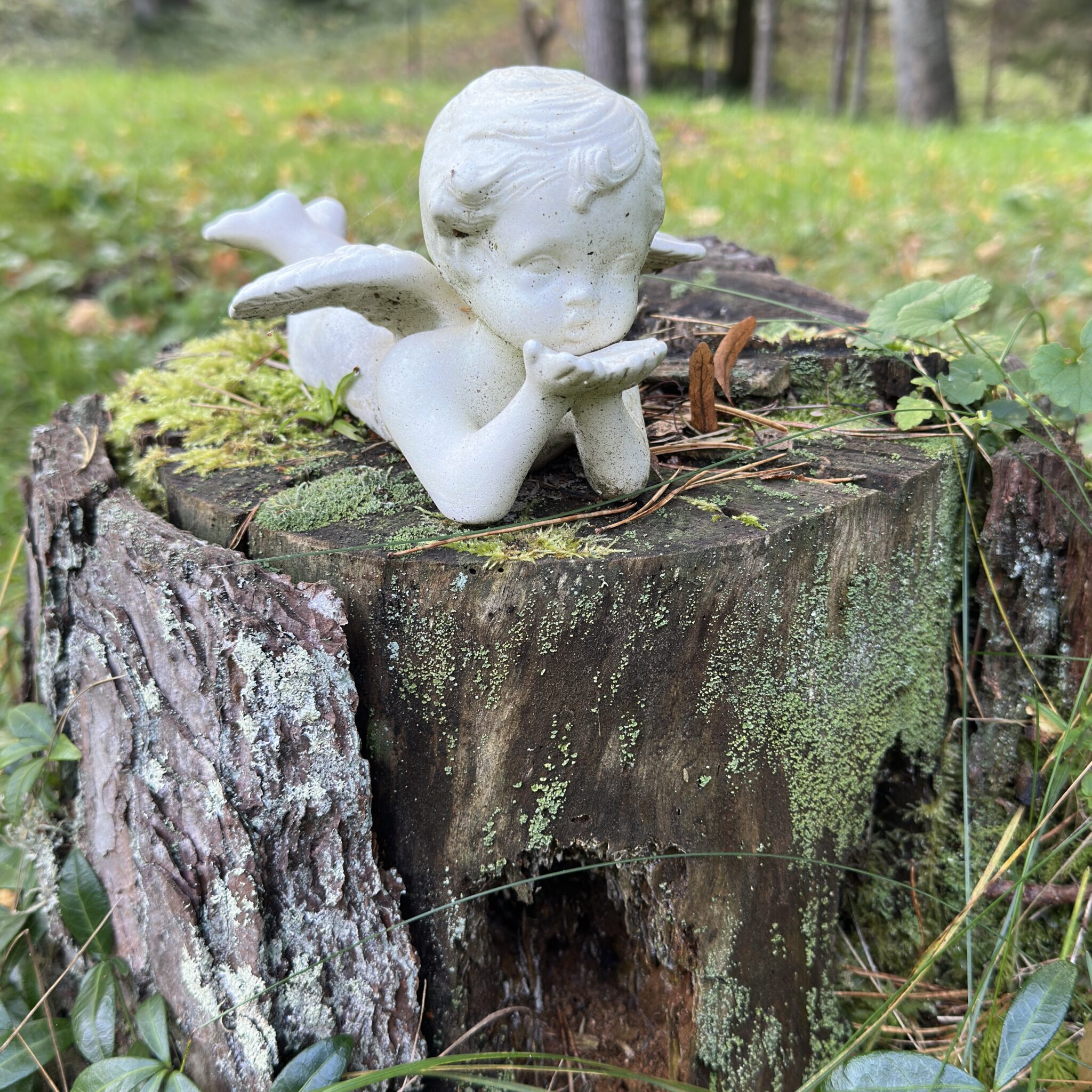 Rahulik inglifiguur puusamblaga kännul vaikse metsa keskel.