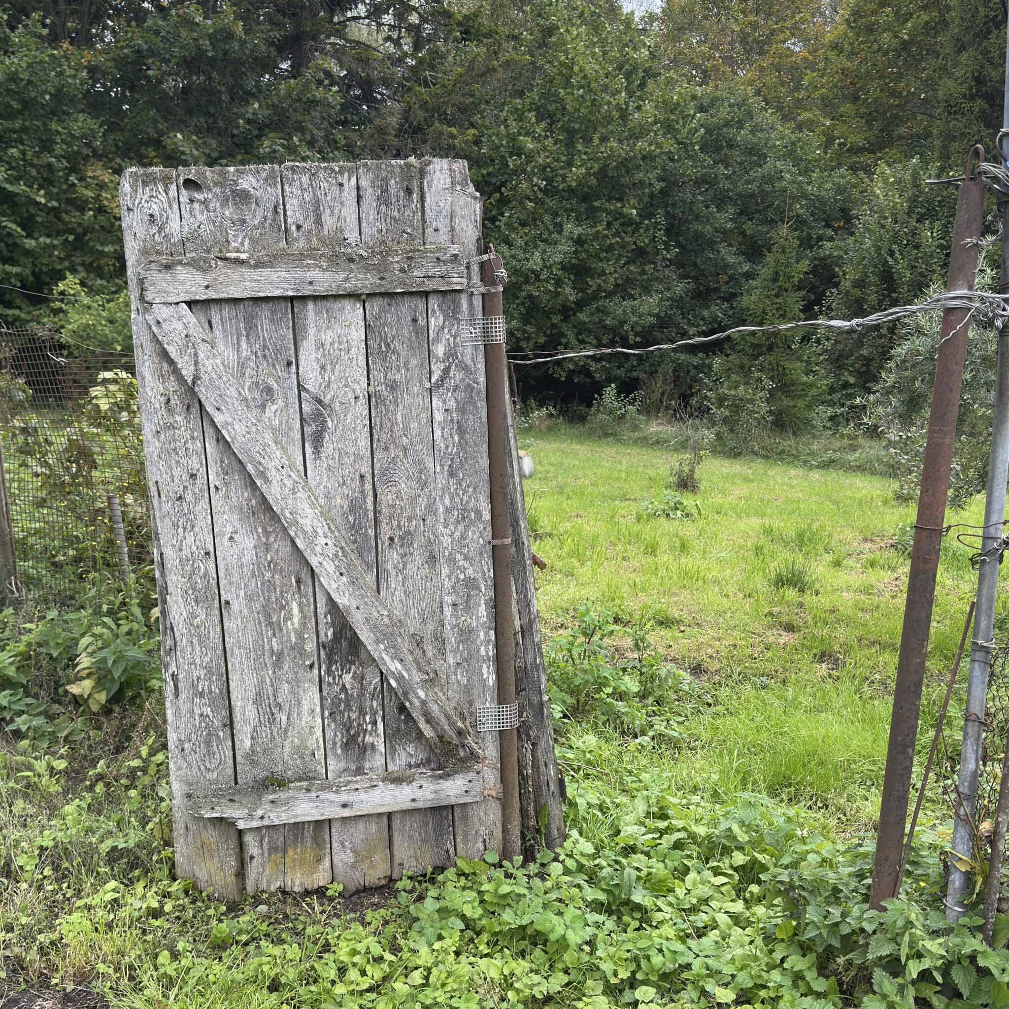 Vana ilmastikust kulunud värav rohelises põllus.