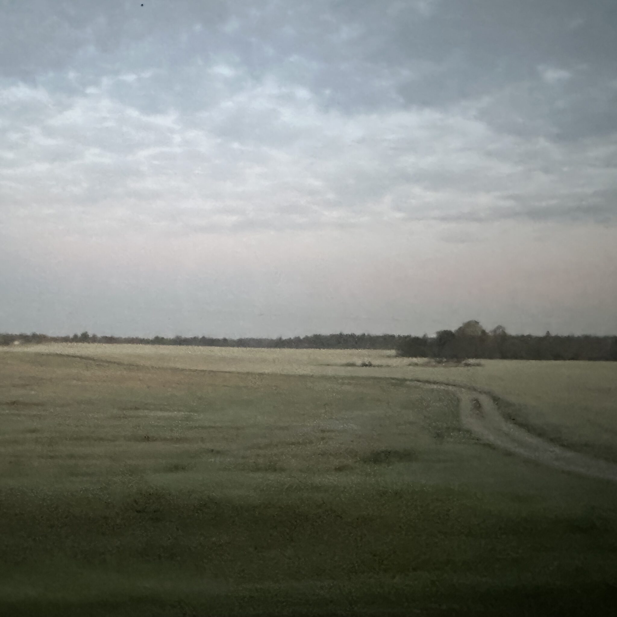 Rahulik uduvihmane põld kruusatee ja kaugete puudega.