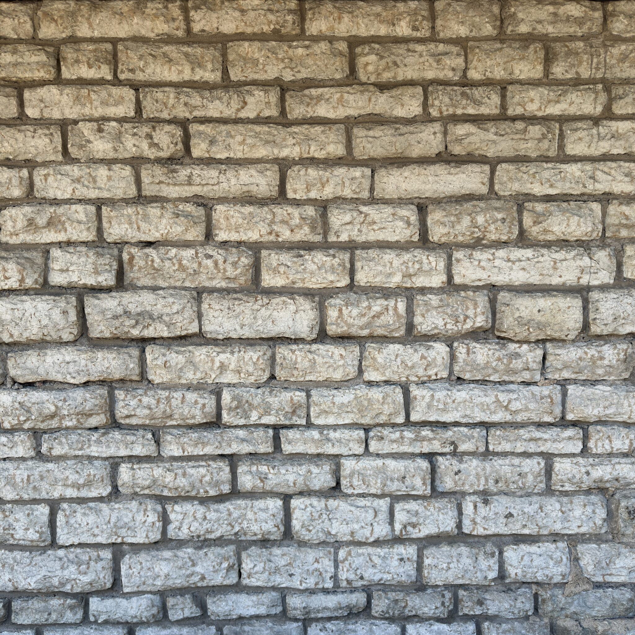 Helebeež tellissein kareda tekstuuriga.