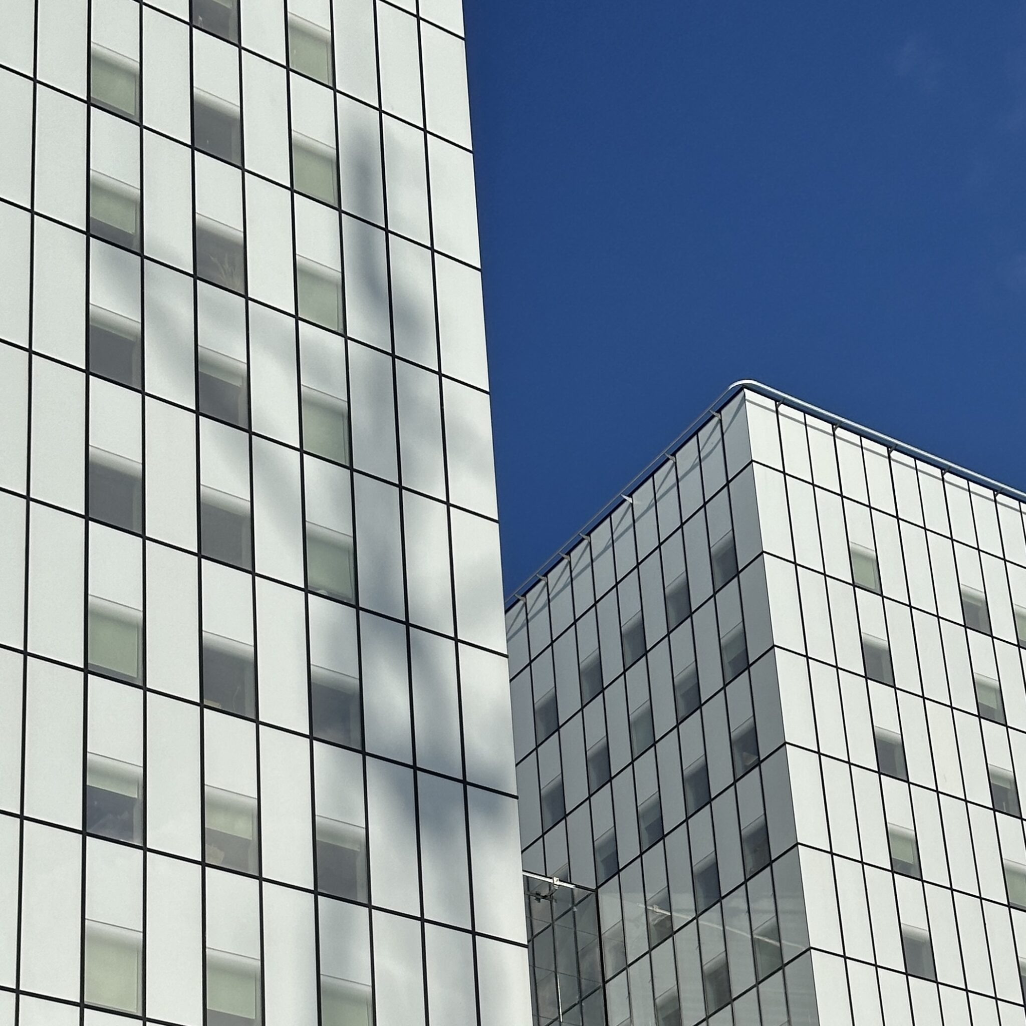 Kaks kaasaegset klaasfassaadiga hoonet sinise taeva taustal.