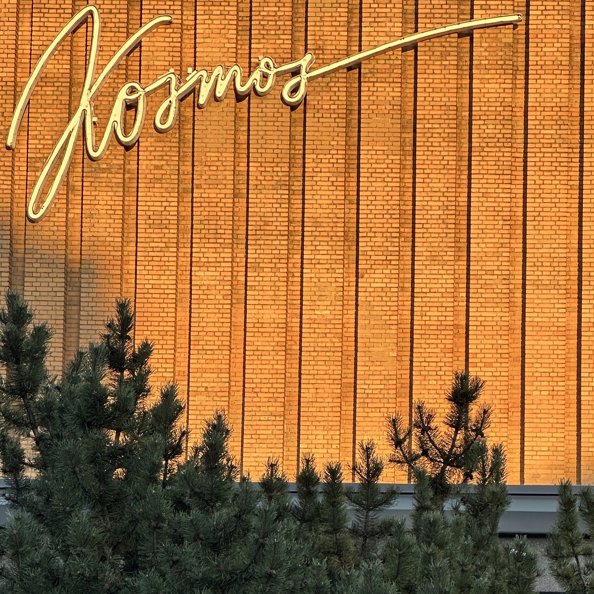 Neoonsilt Kosmos hoonele, ümbritsetud mändidega.