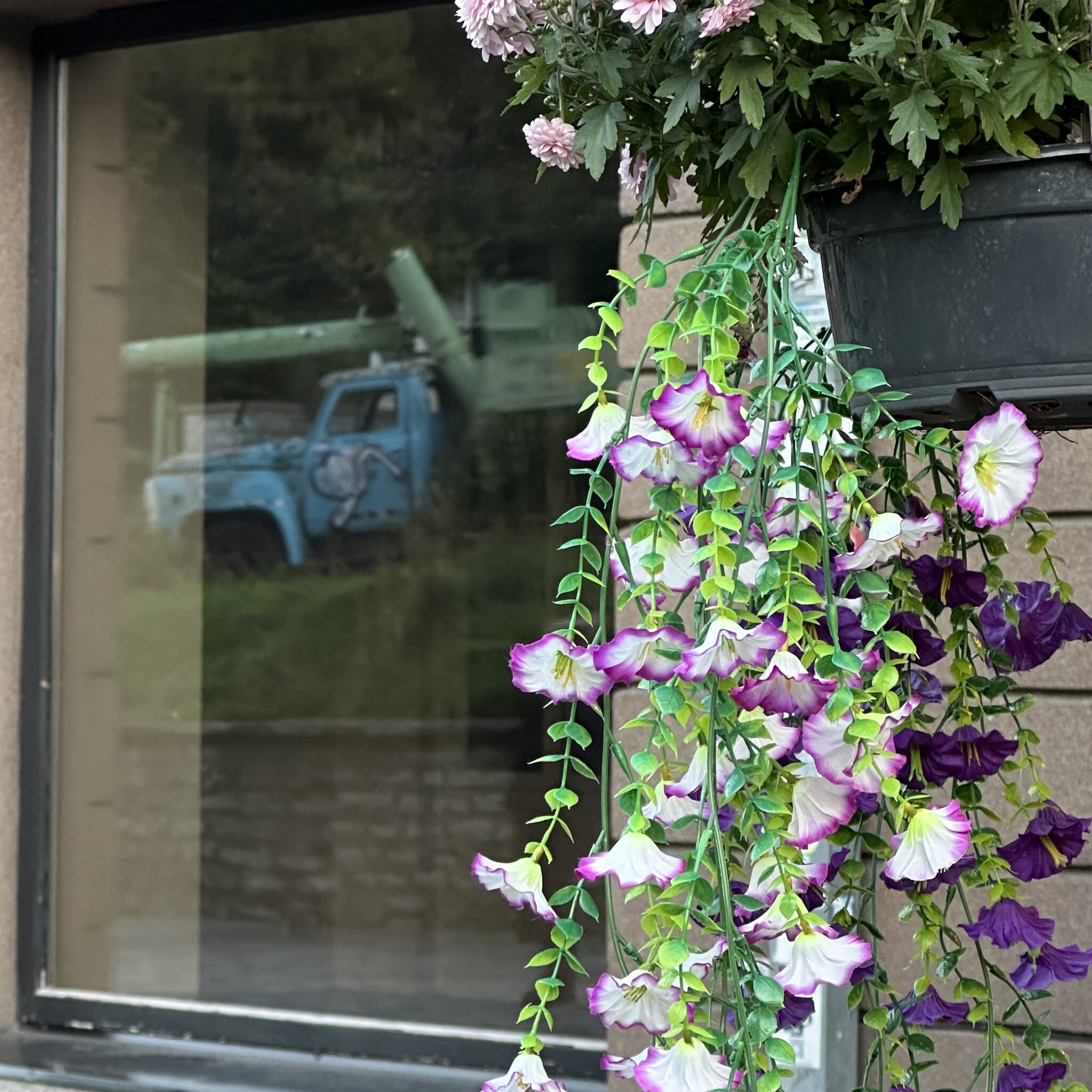 Lilled ja sinise veoki peegeldus aknas.