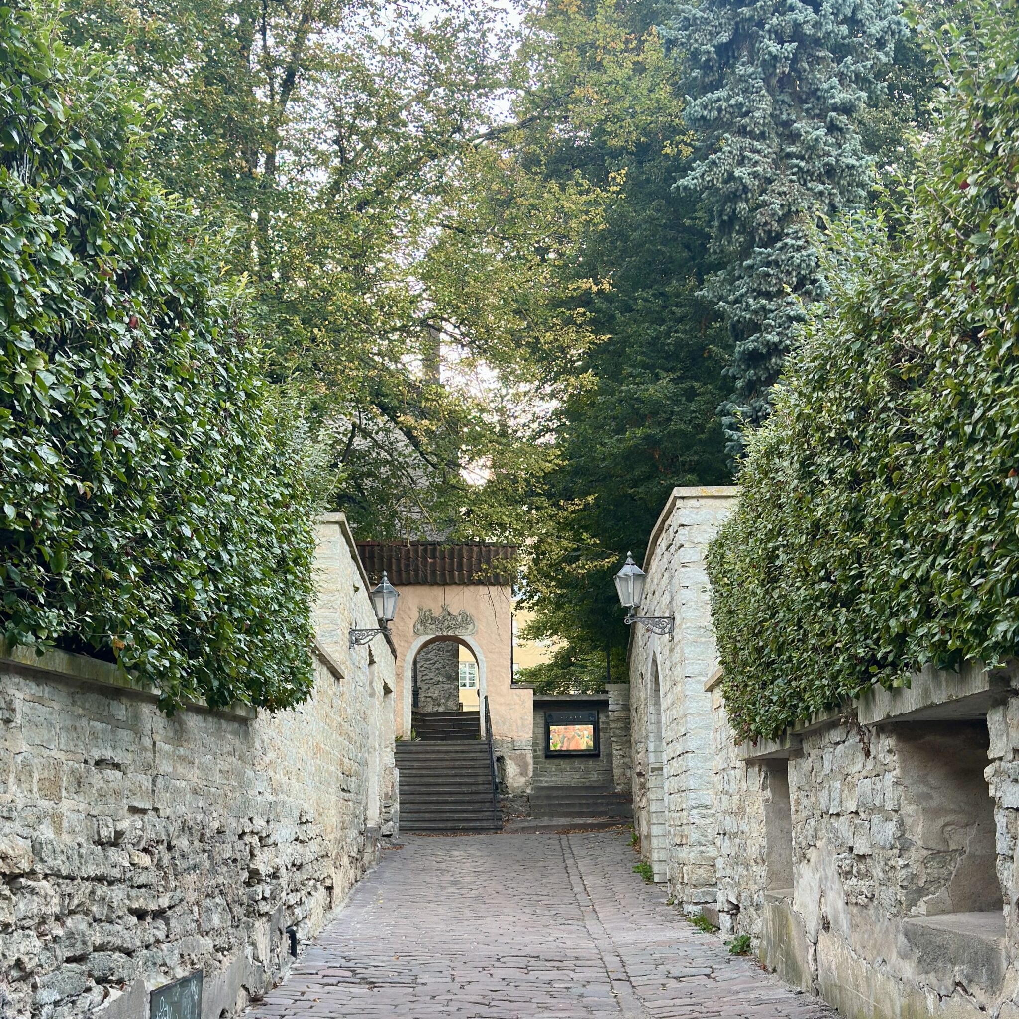 Kivitee viib kivikaare alla metsas.