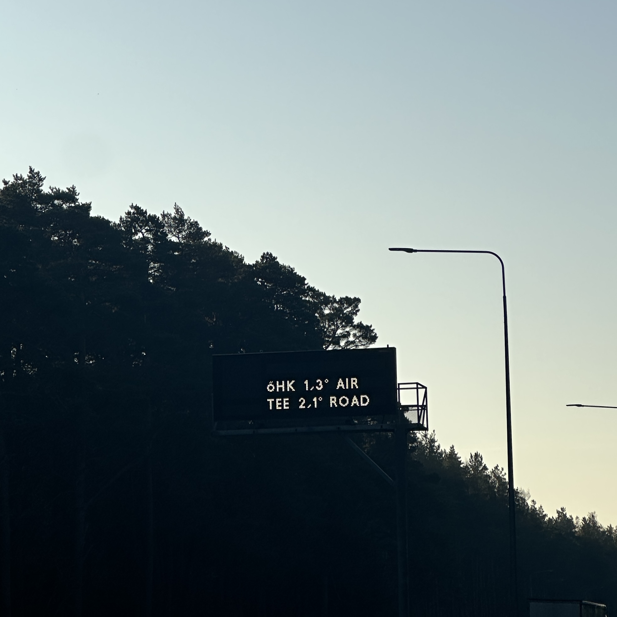 Teeviit metsaalal, mis näitab suunaviitu.