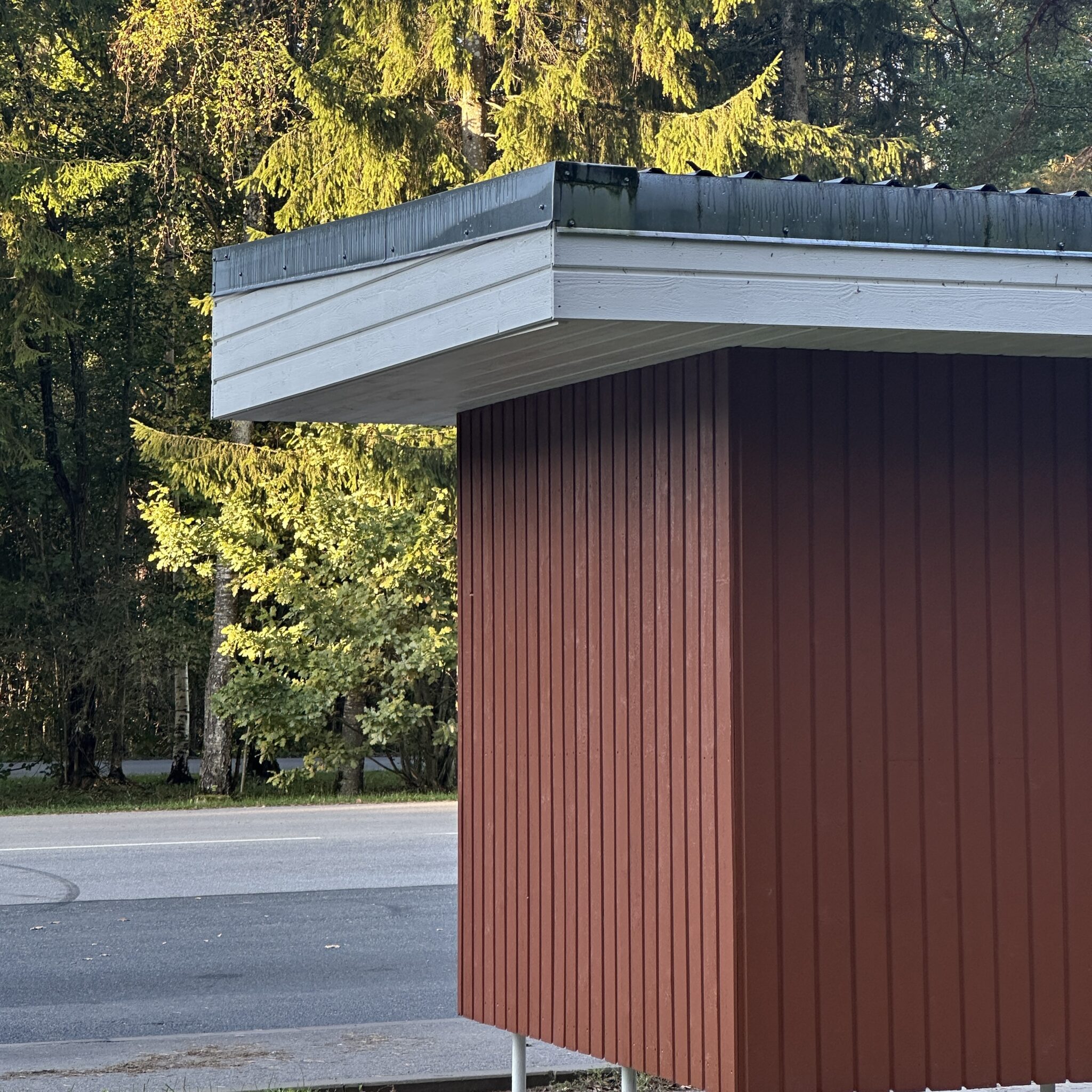 Punane bussipeatus metsa taustal.