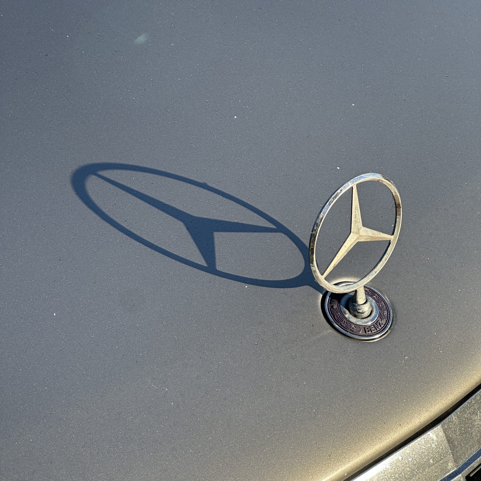 Mercedes-Benzi embleem autol, millele langeb vari.