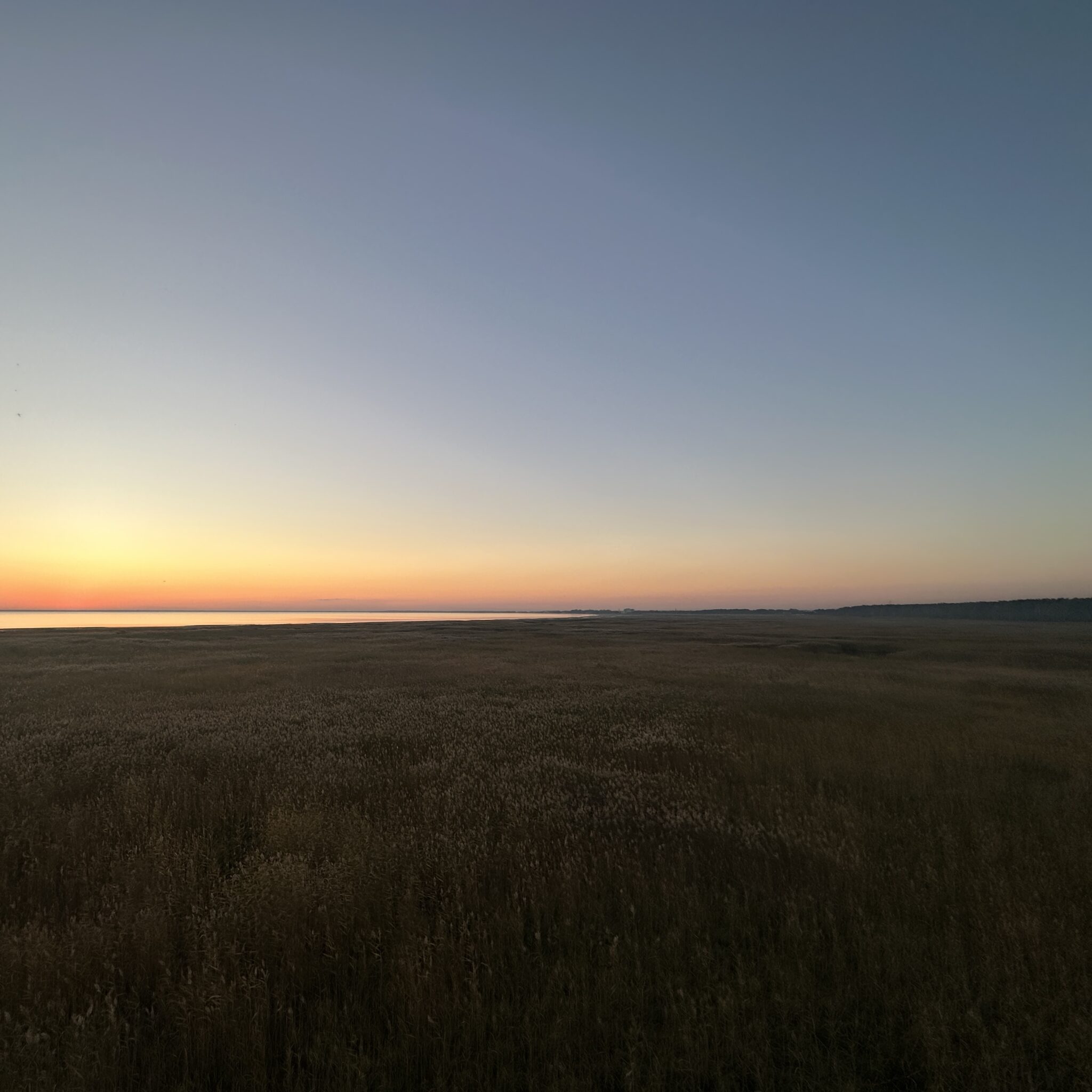 Päikeseloojang kuldsel põllul.