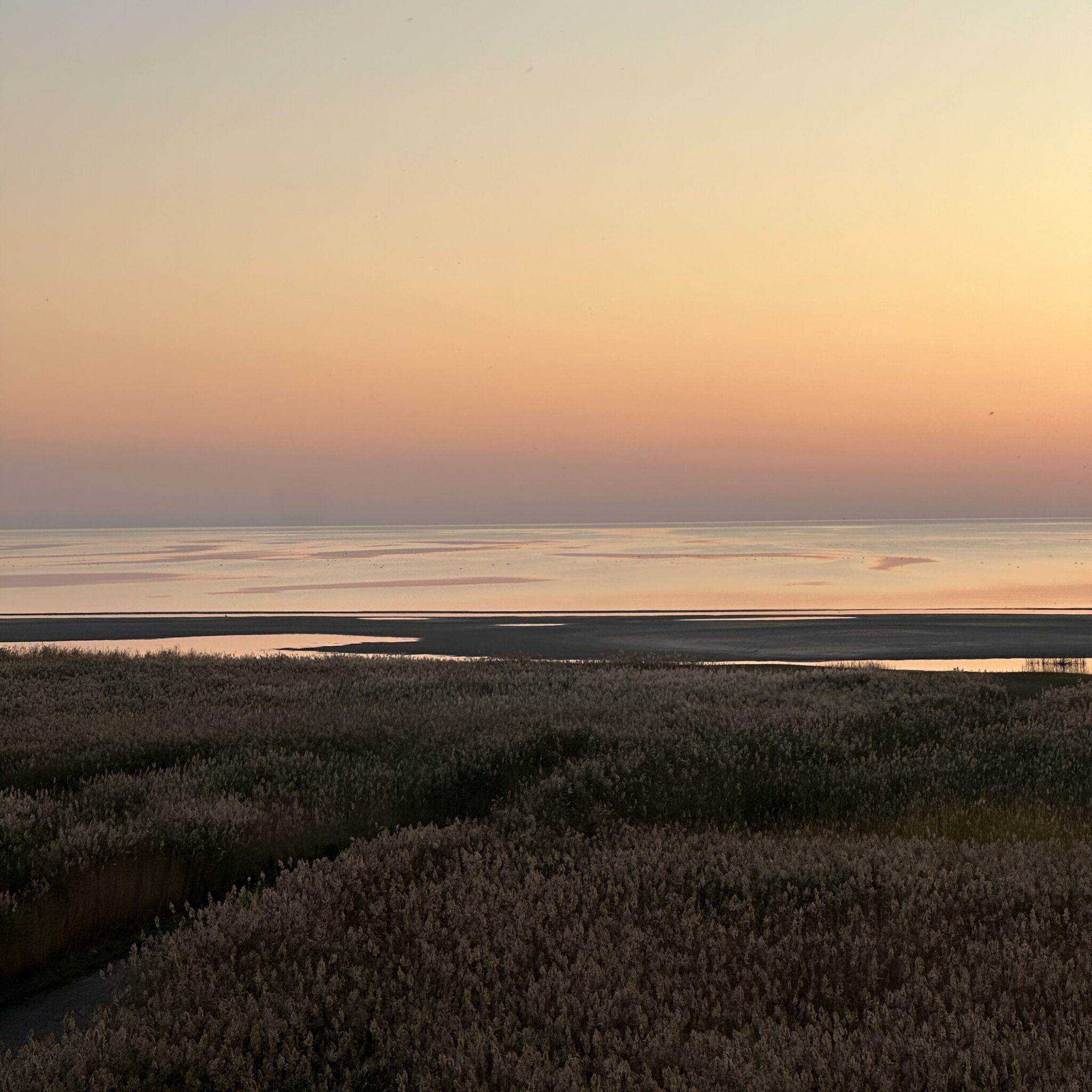 Päikeseloojang rahulikul rannikumadalmaal.