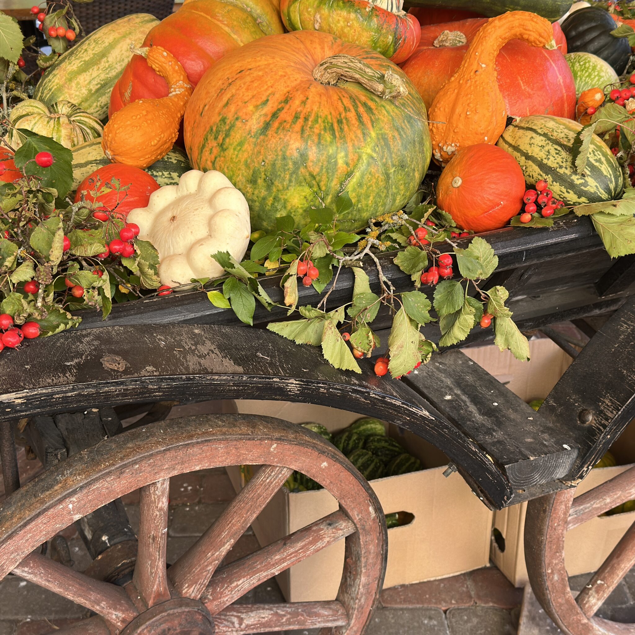 Rustikaalne vanker täis värvilisi kõrvitsaid ja suvikõrvitsaid.