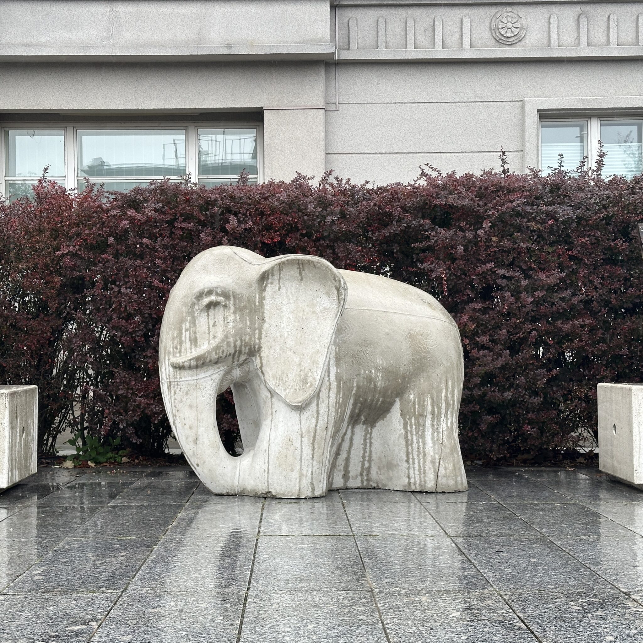 Valge elevandikuju seisab hoone ees, taustal punased põõsad.