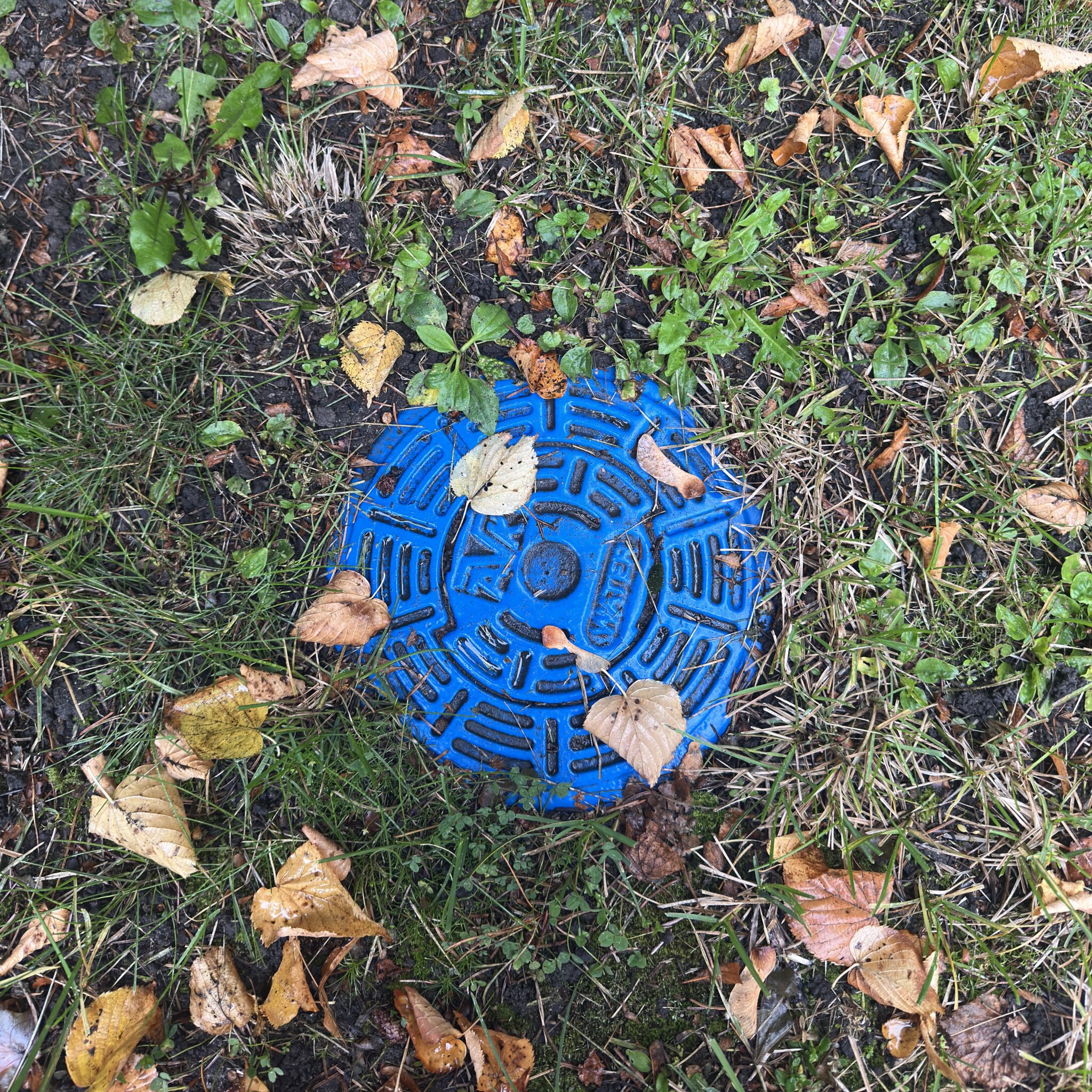 Sinine kanalisatsiooniluuk ümbritsetud sügislehtedega.