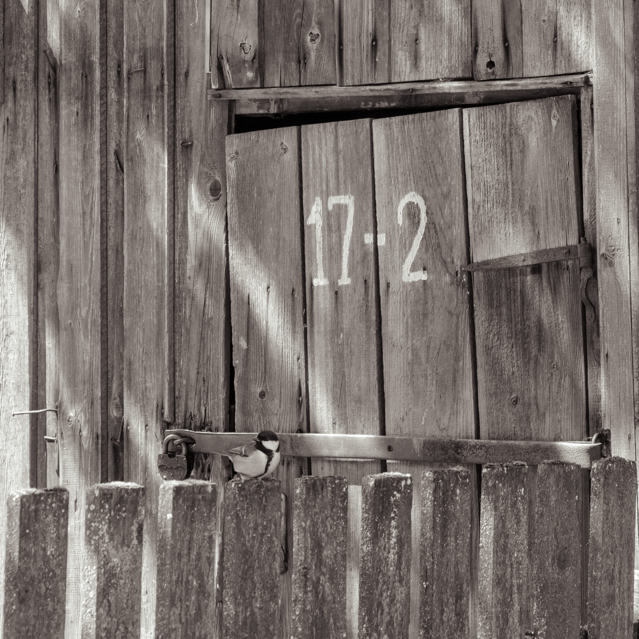 P1115230-3-2