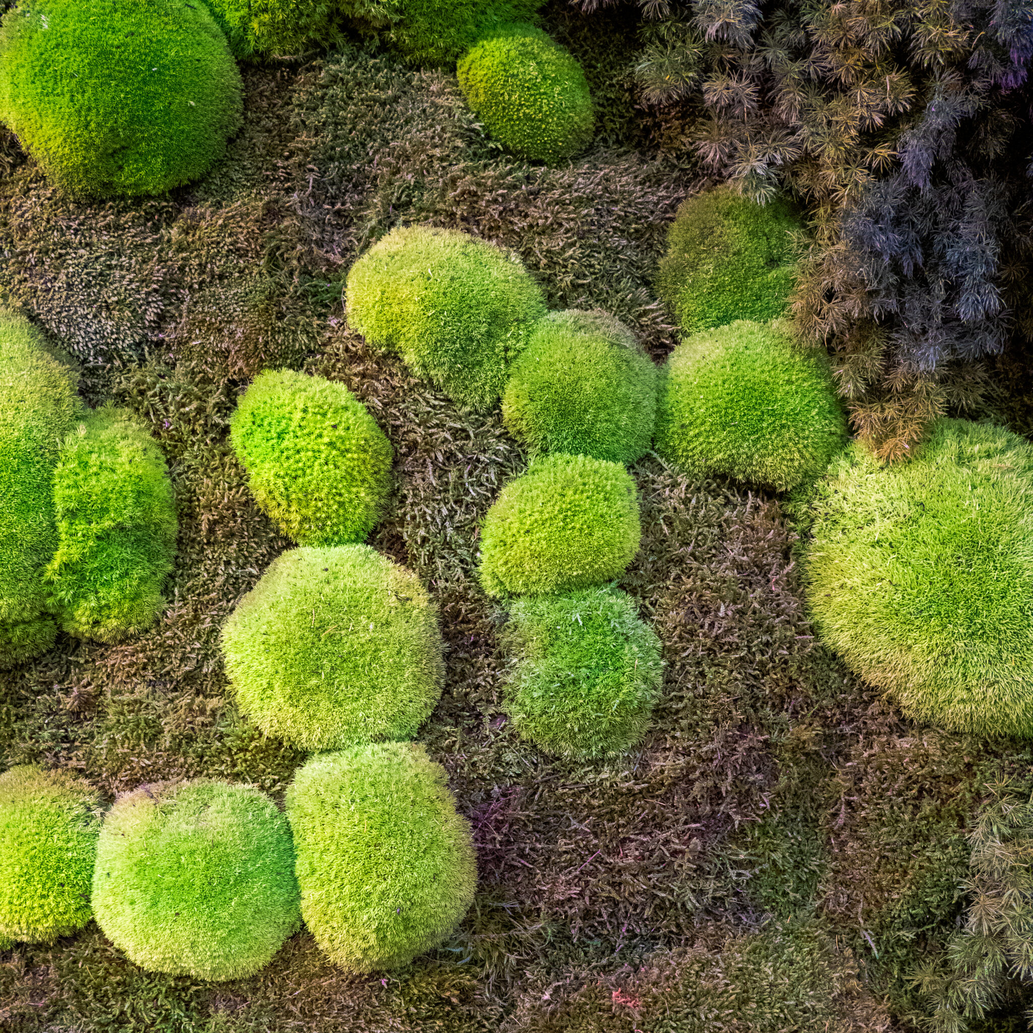 P1115535
