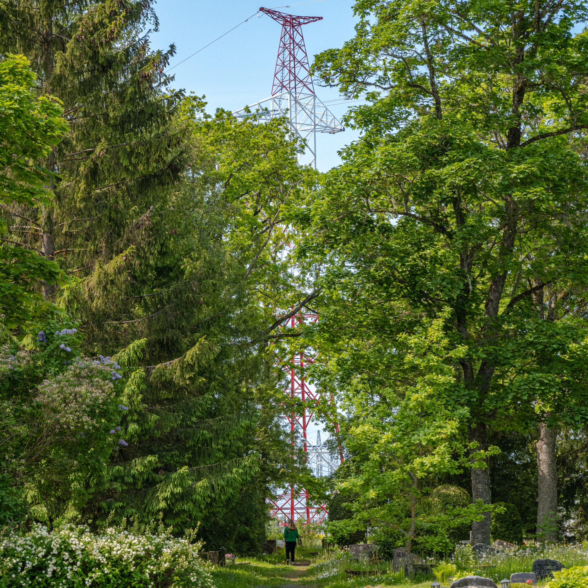 P1115692