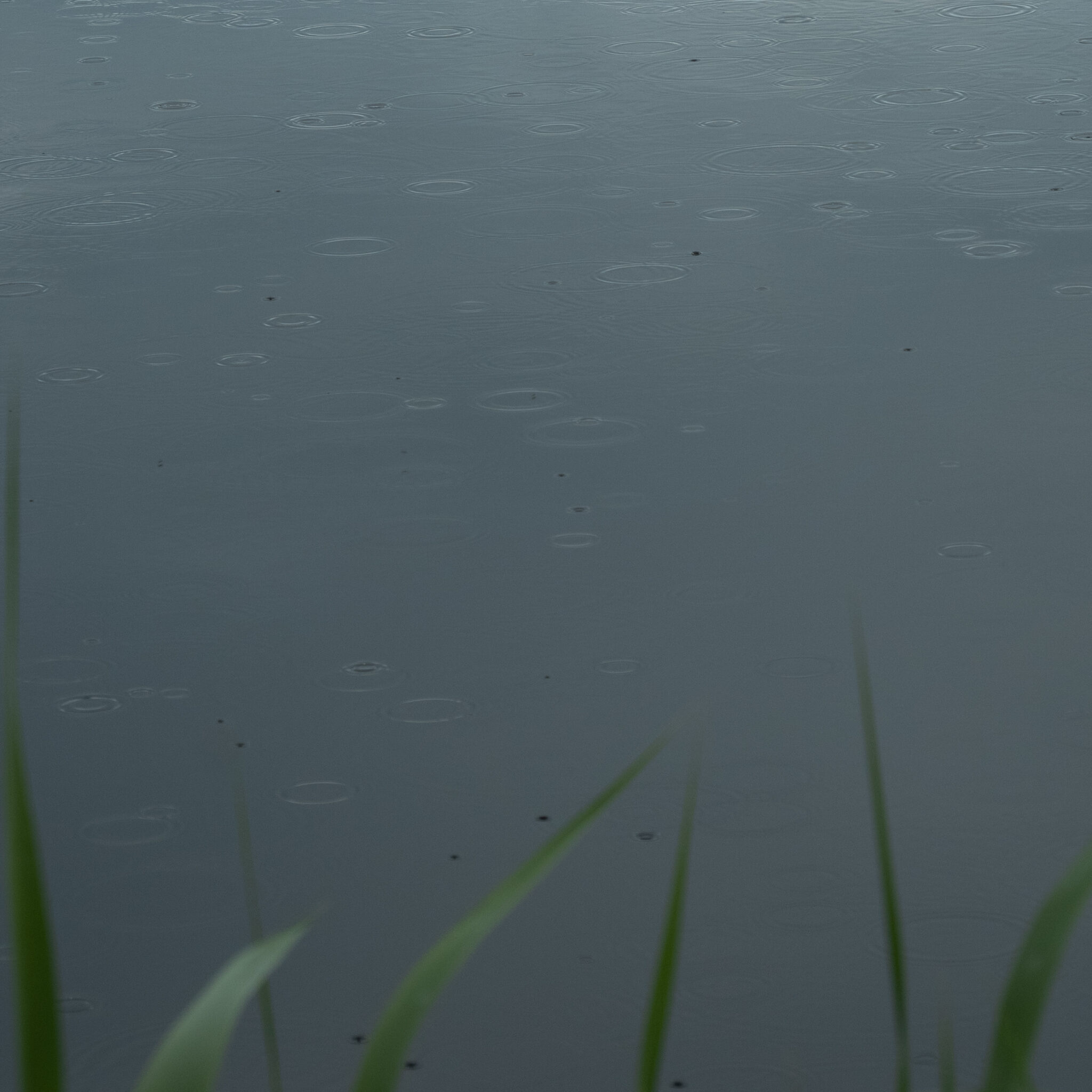 P1115988