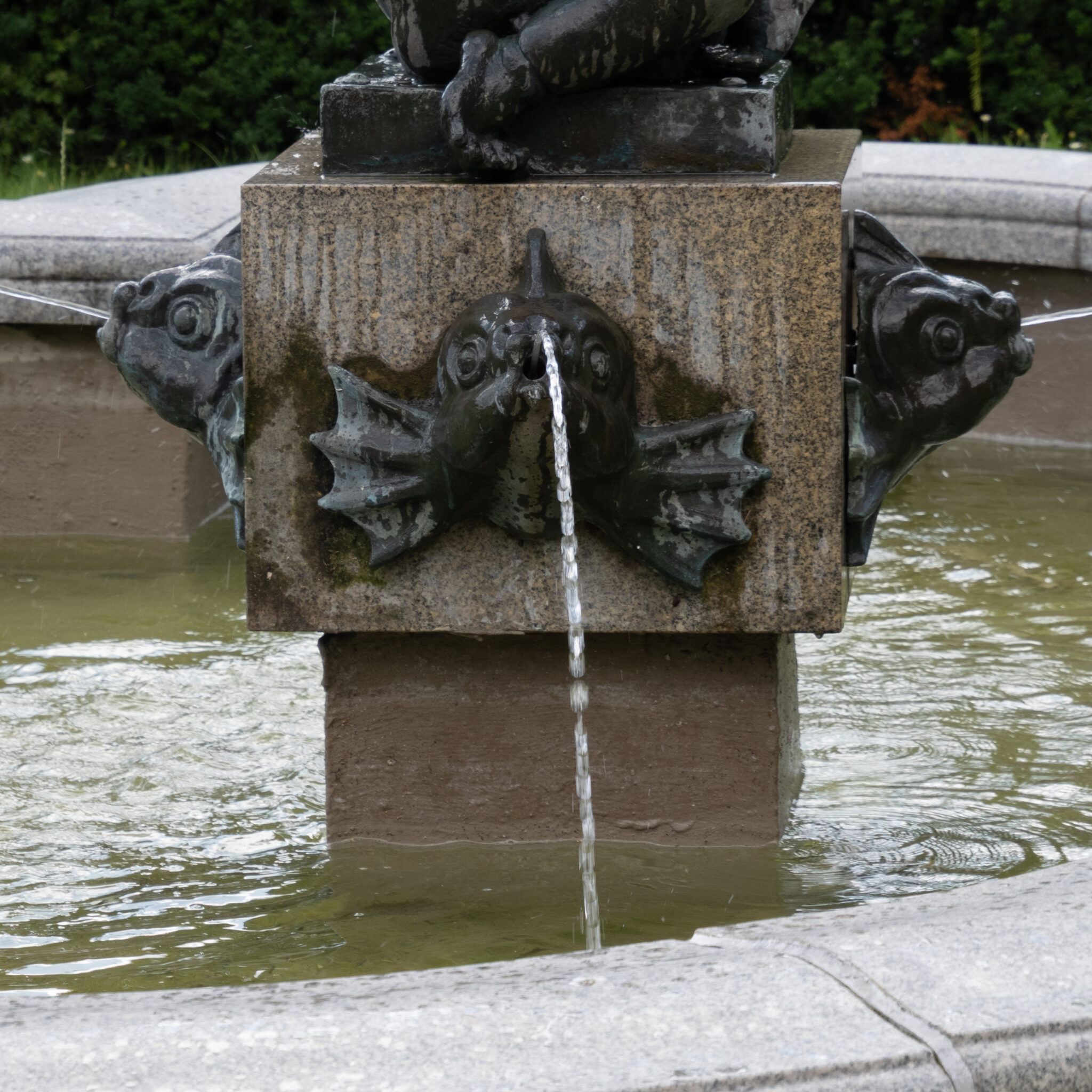 P1116533