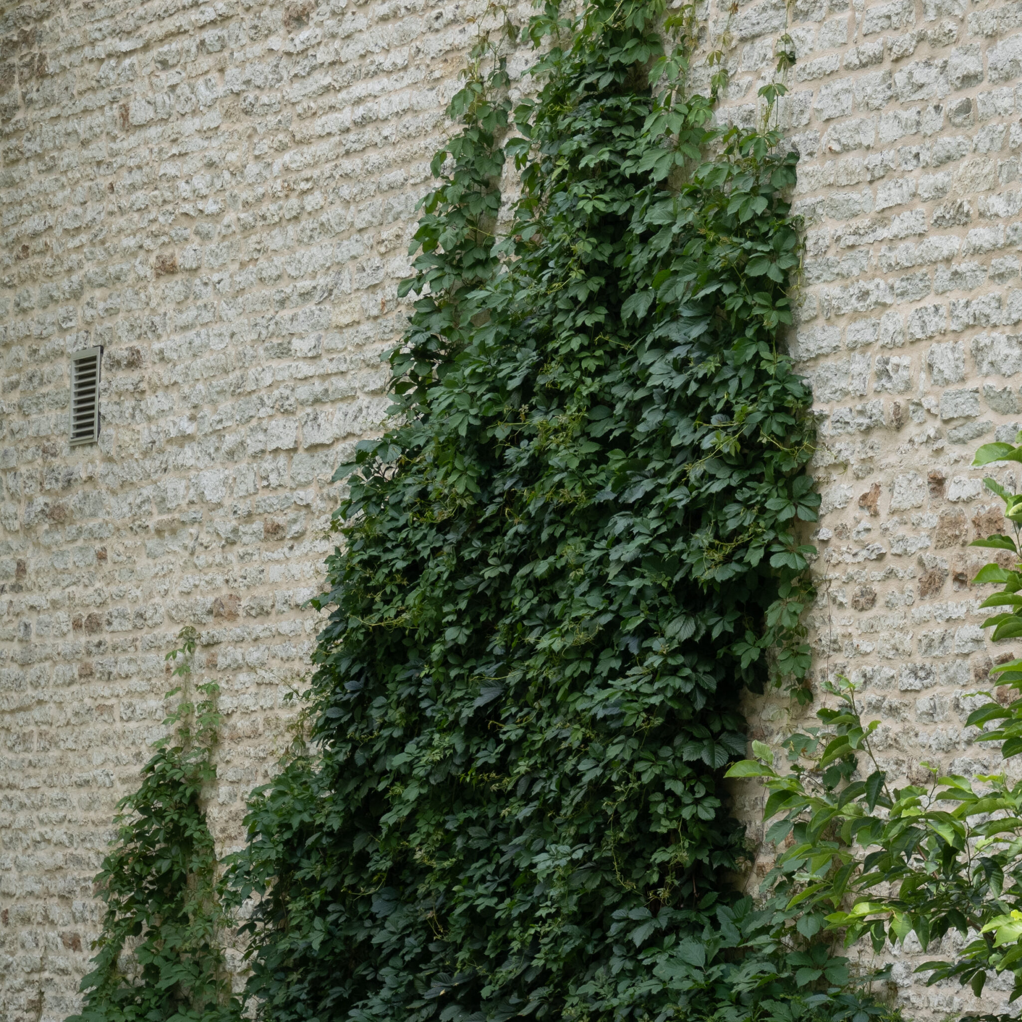 P1116578