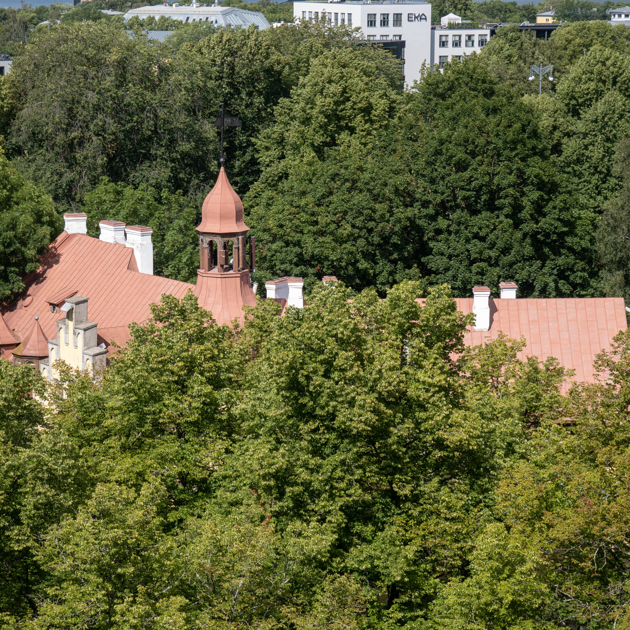 P1116654