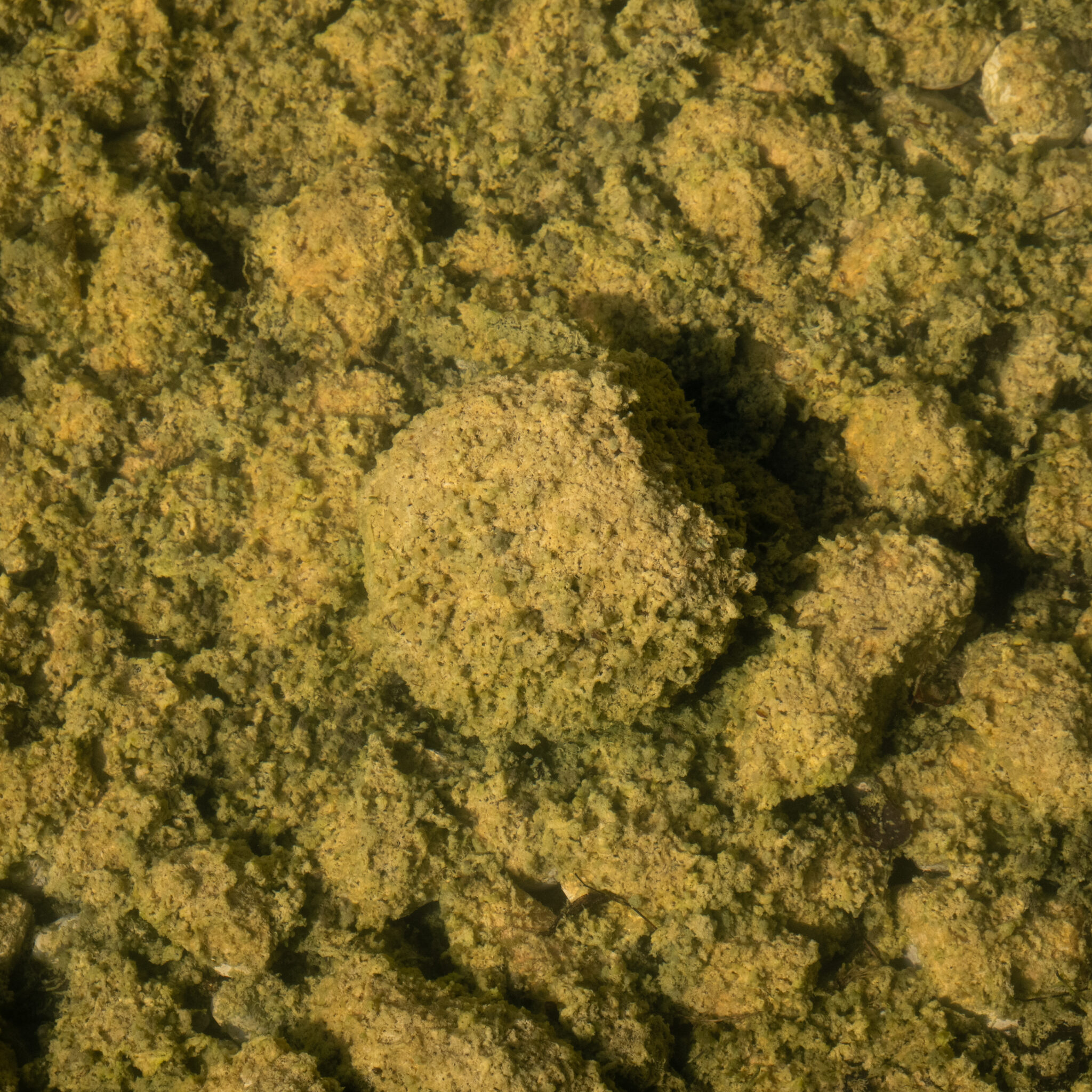 P1116766