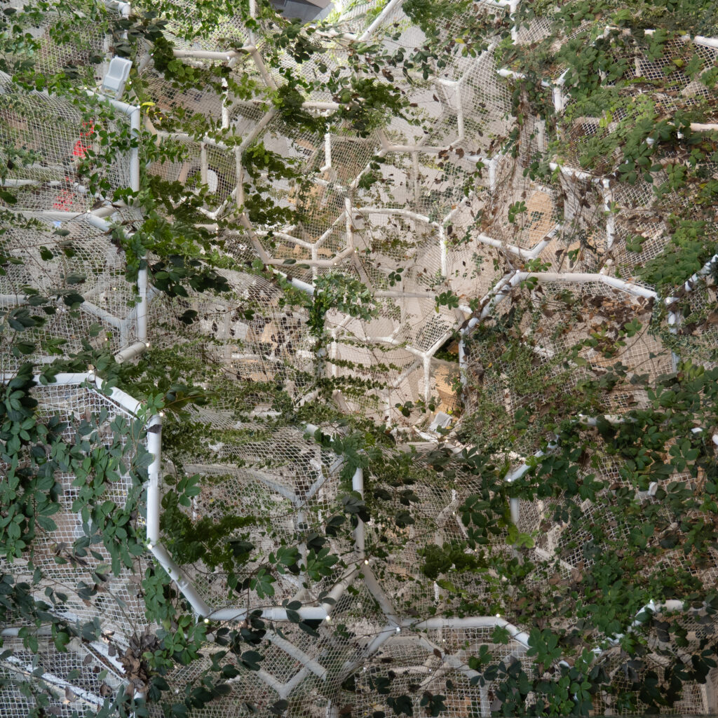 P1116845