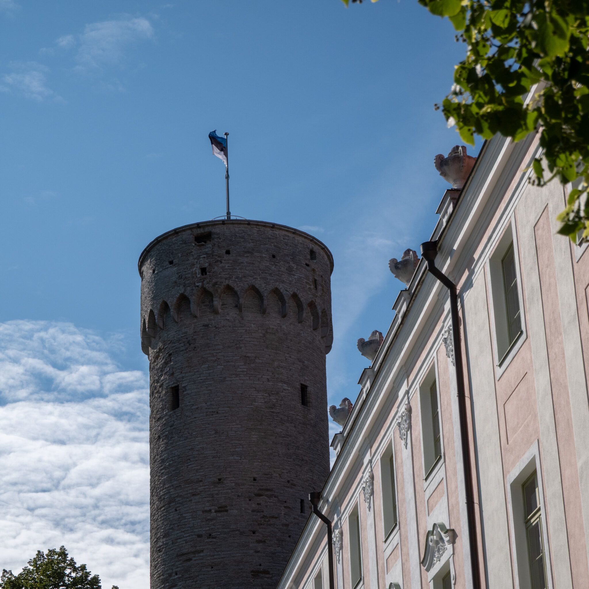 P1116919