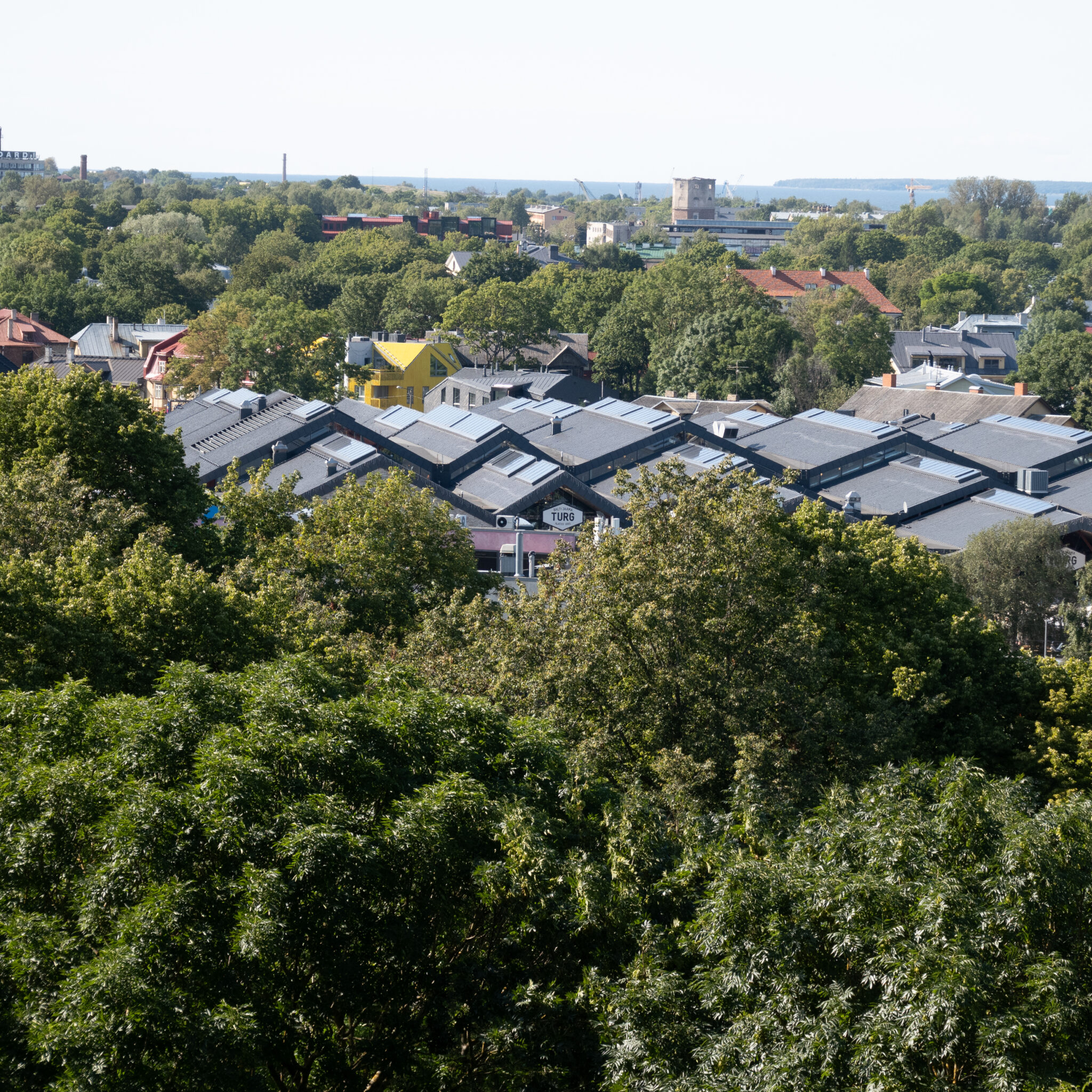 P1116981