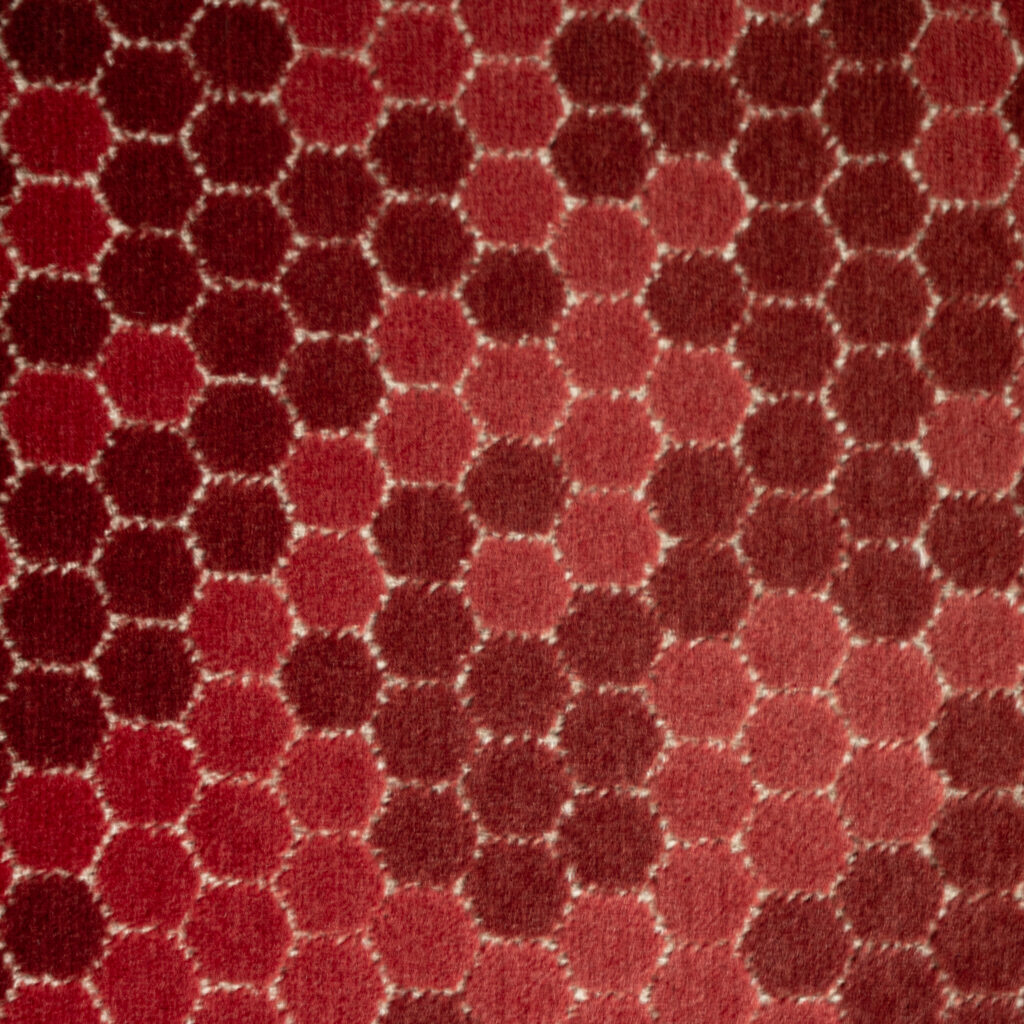P1128098