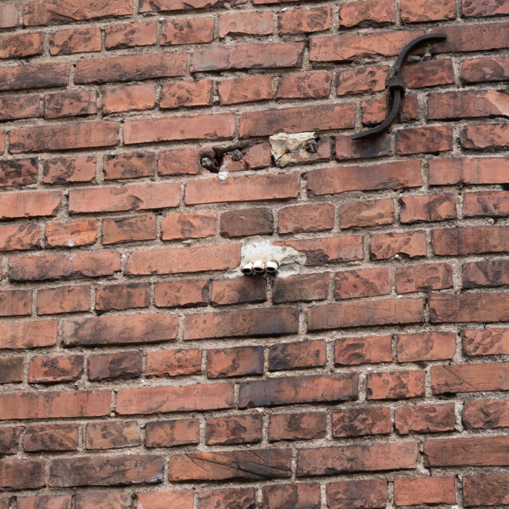 P1128155