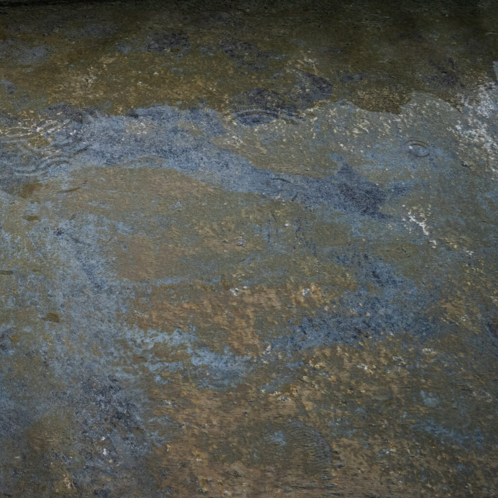 P1128278