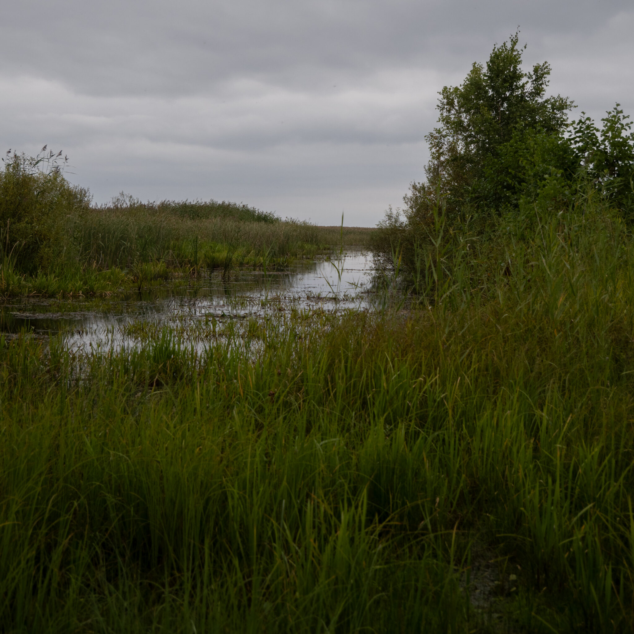 P1139057