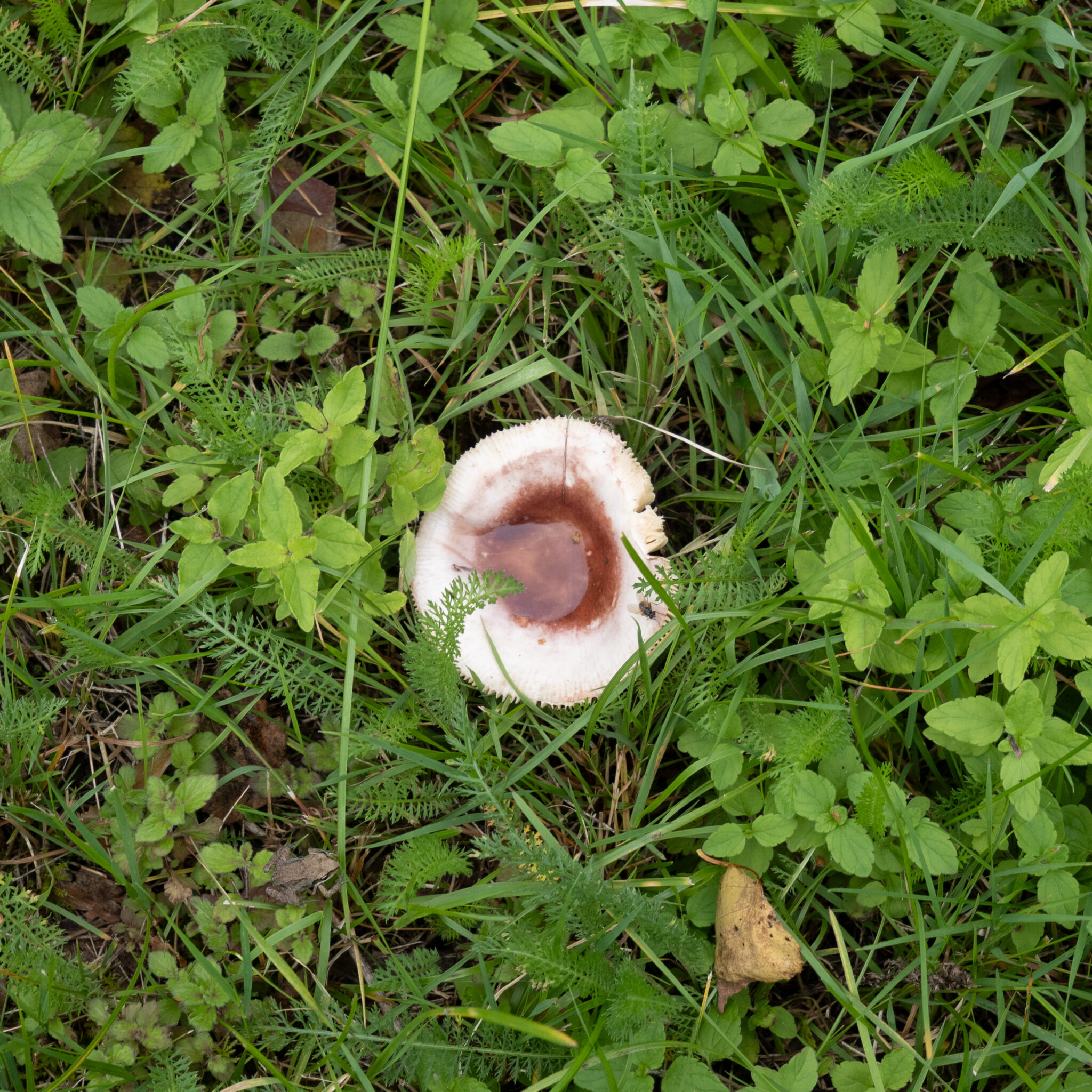 P1139062