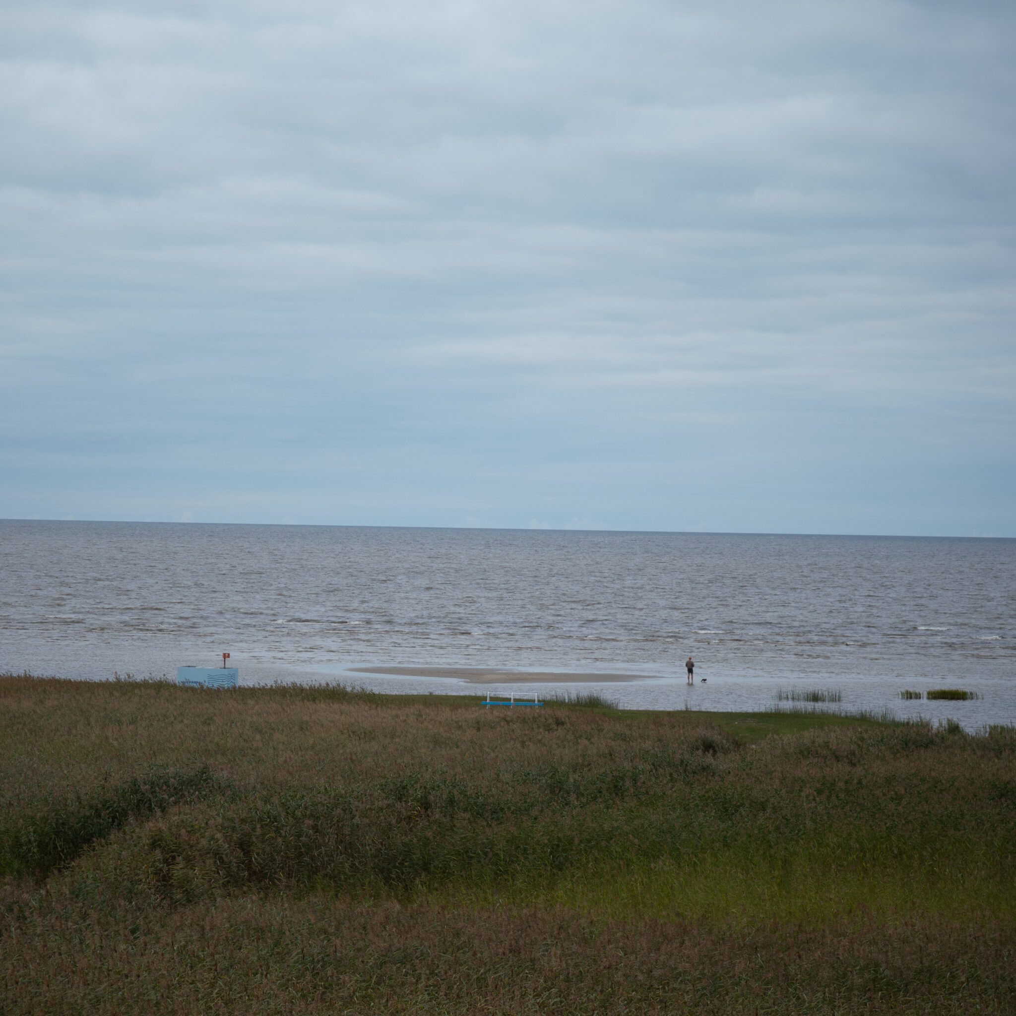 P1139236
