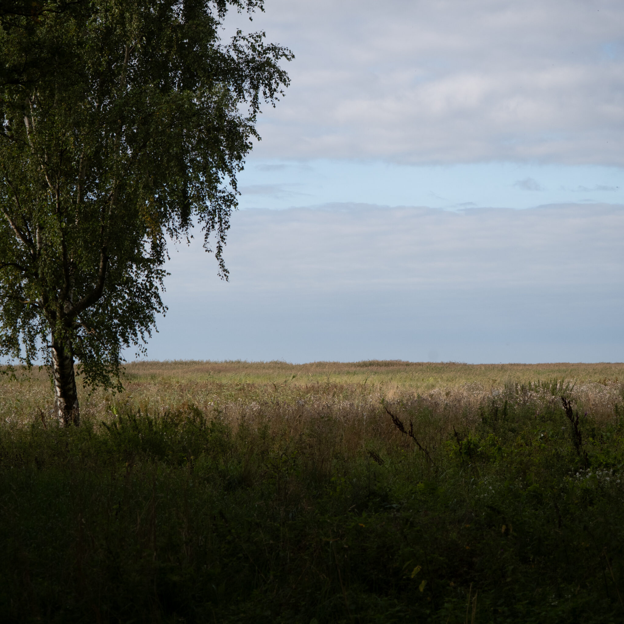 P1139377
