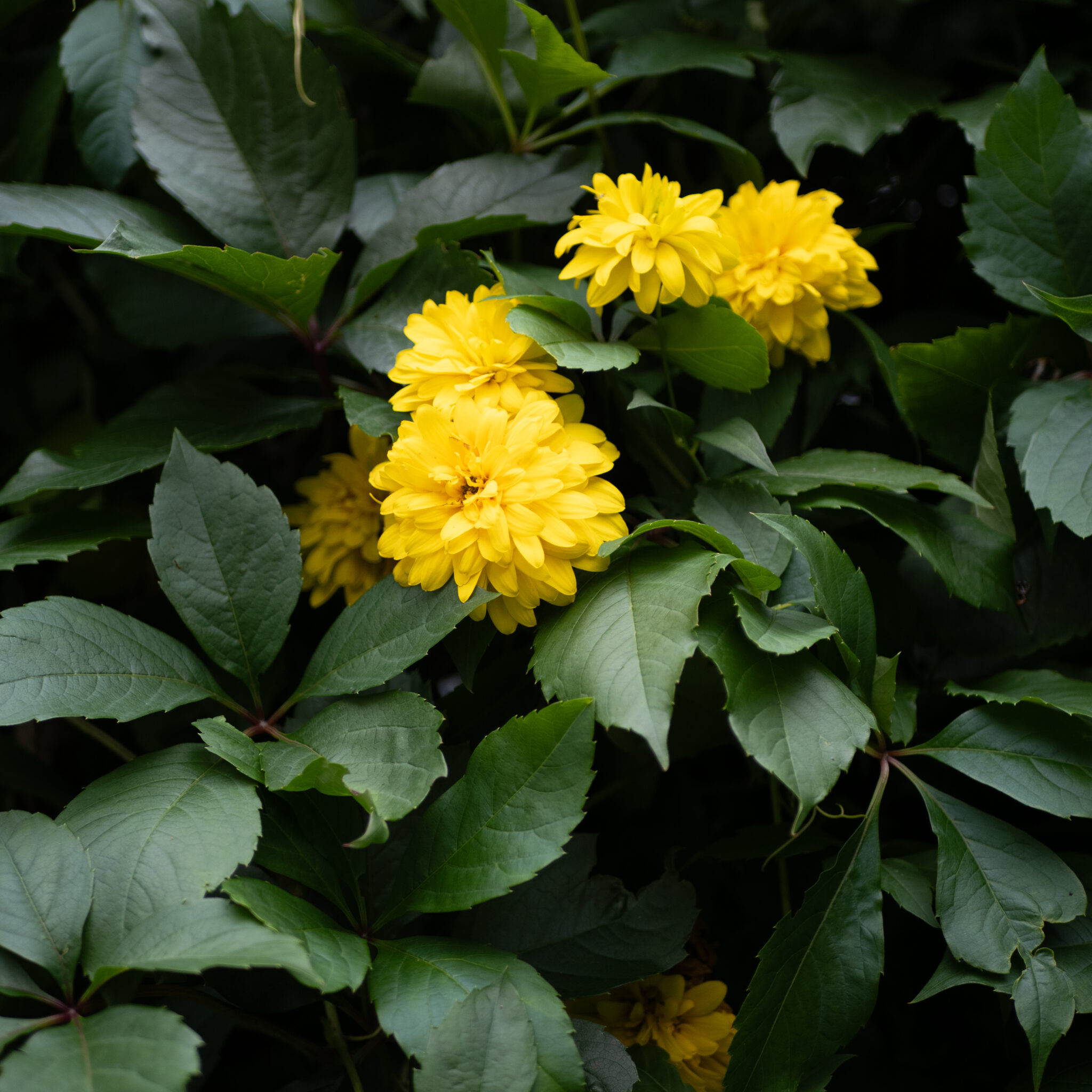 P1140226
