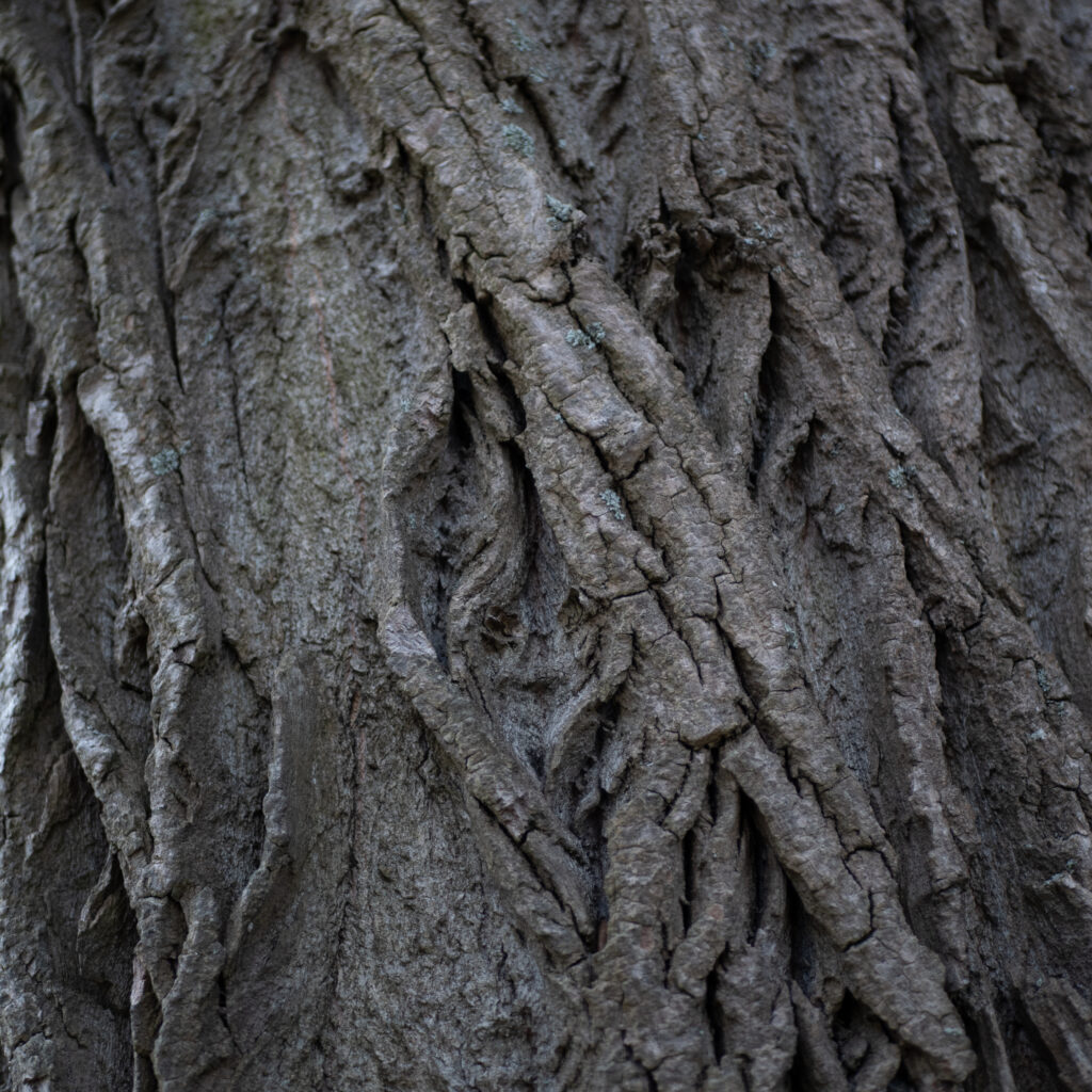 P1140288