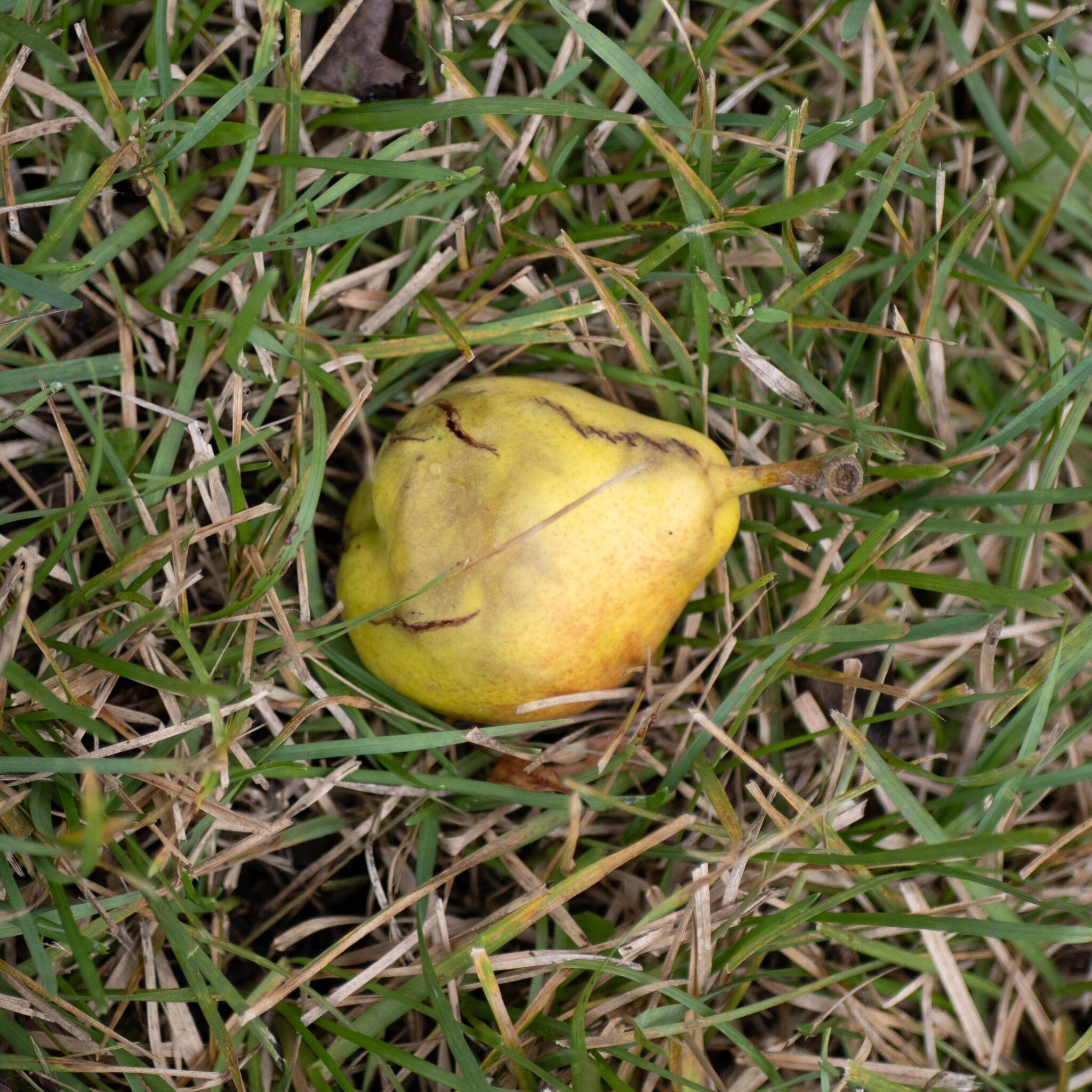 P1140380