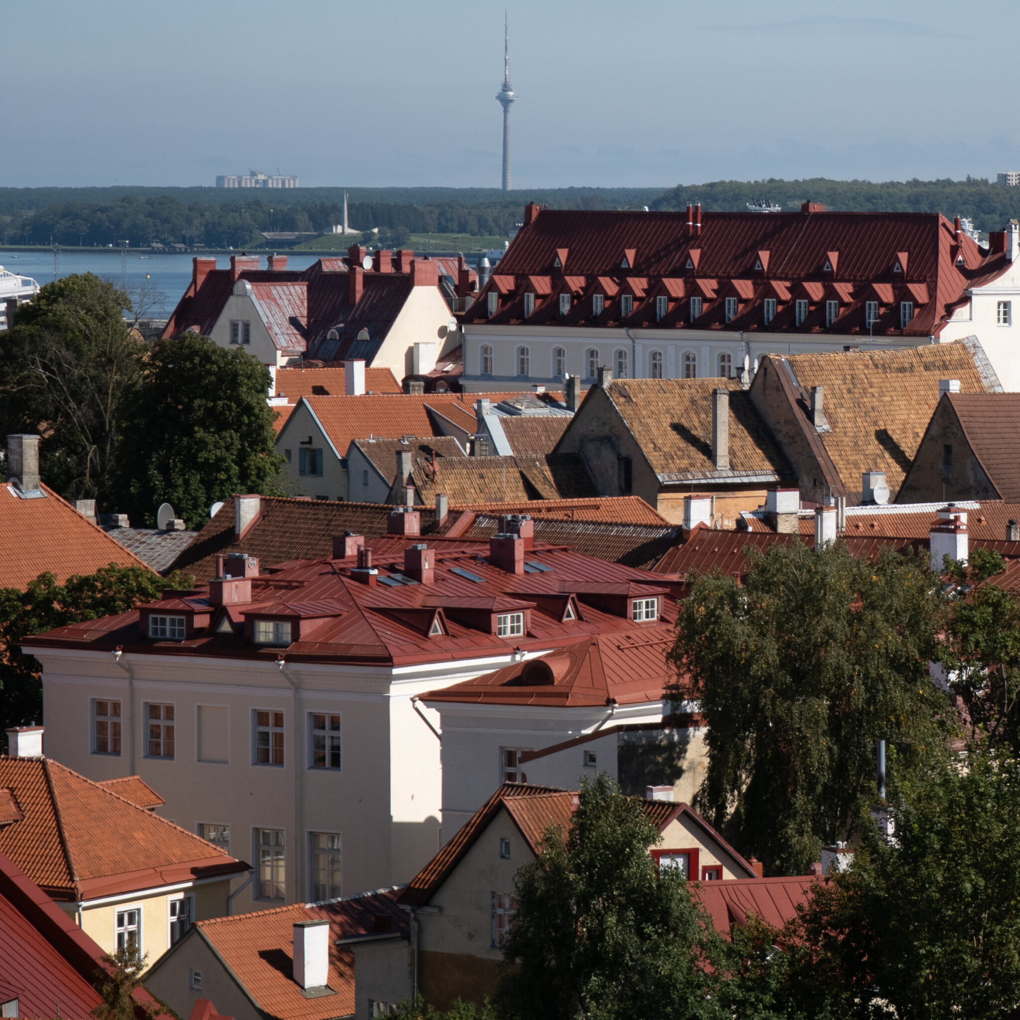 P1140605