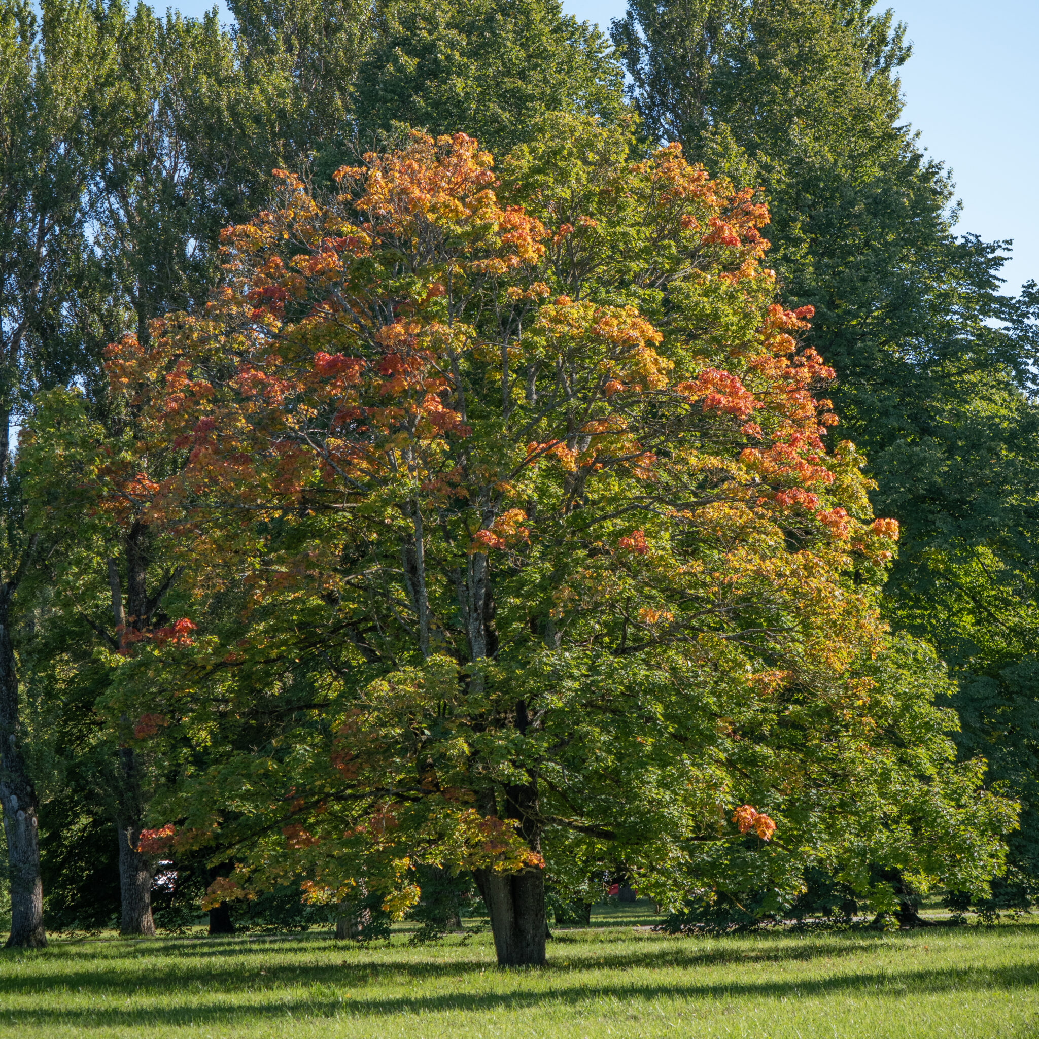 P1140871