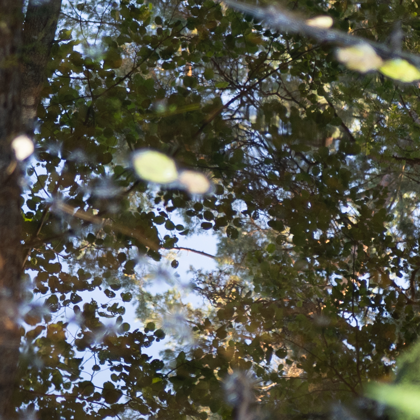 P1151192