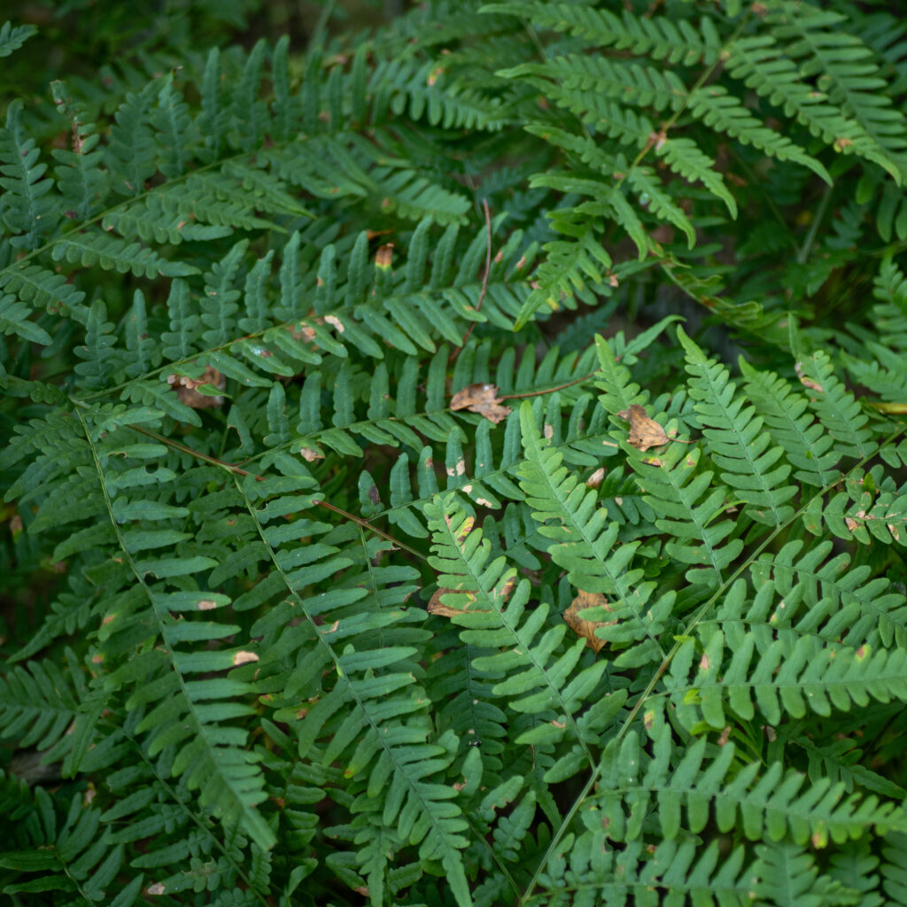 P1151195