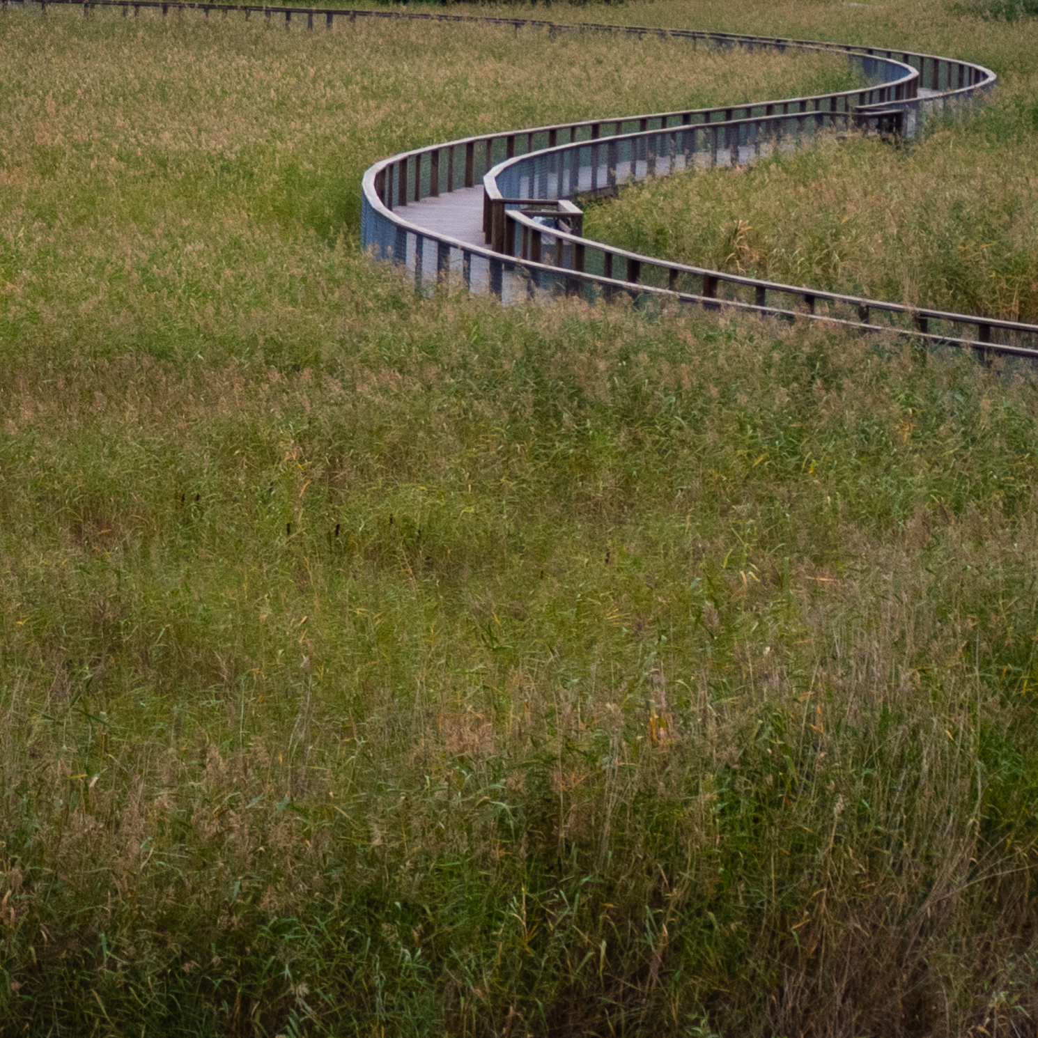 P1151205