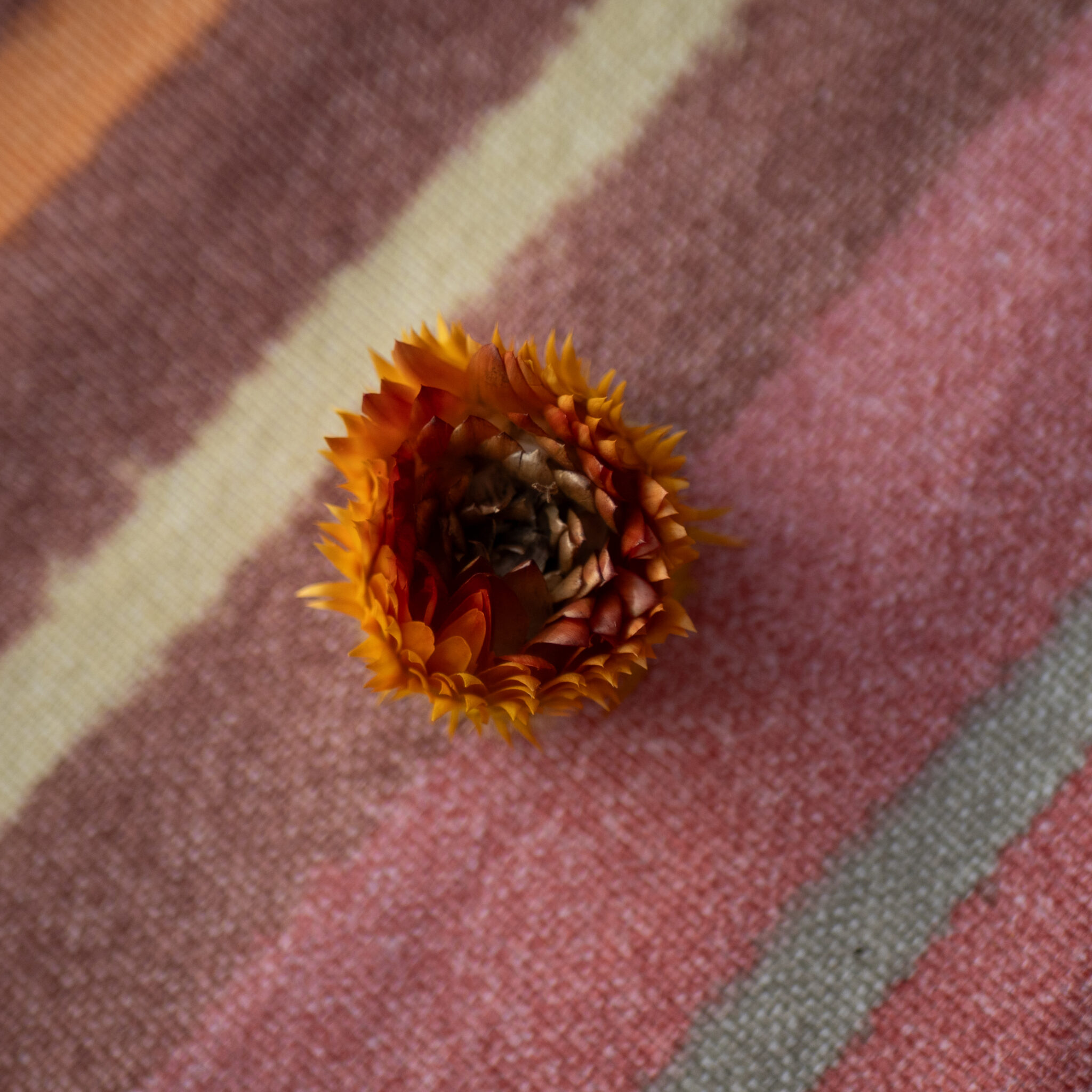 P1151260